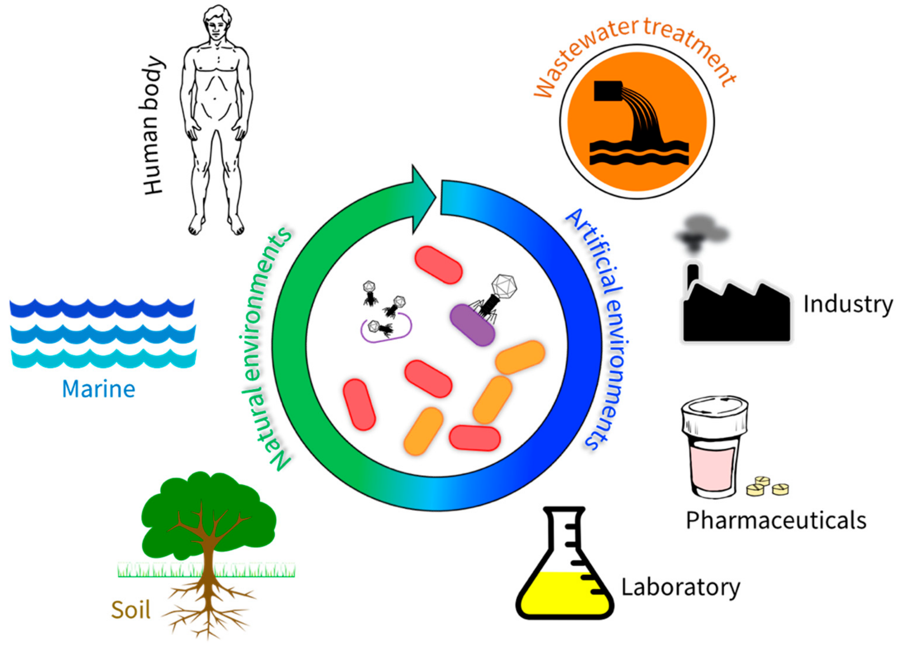 Pathogens 08 00100 g002