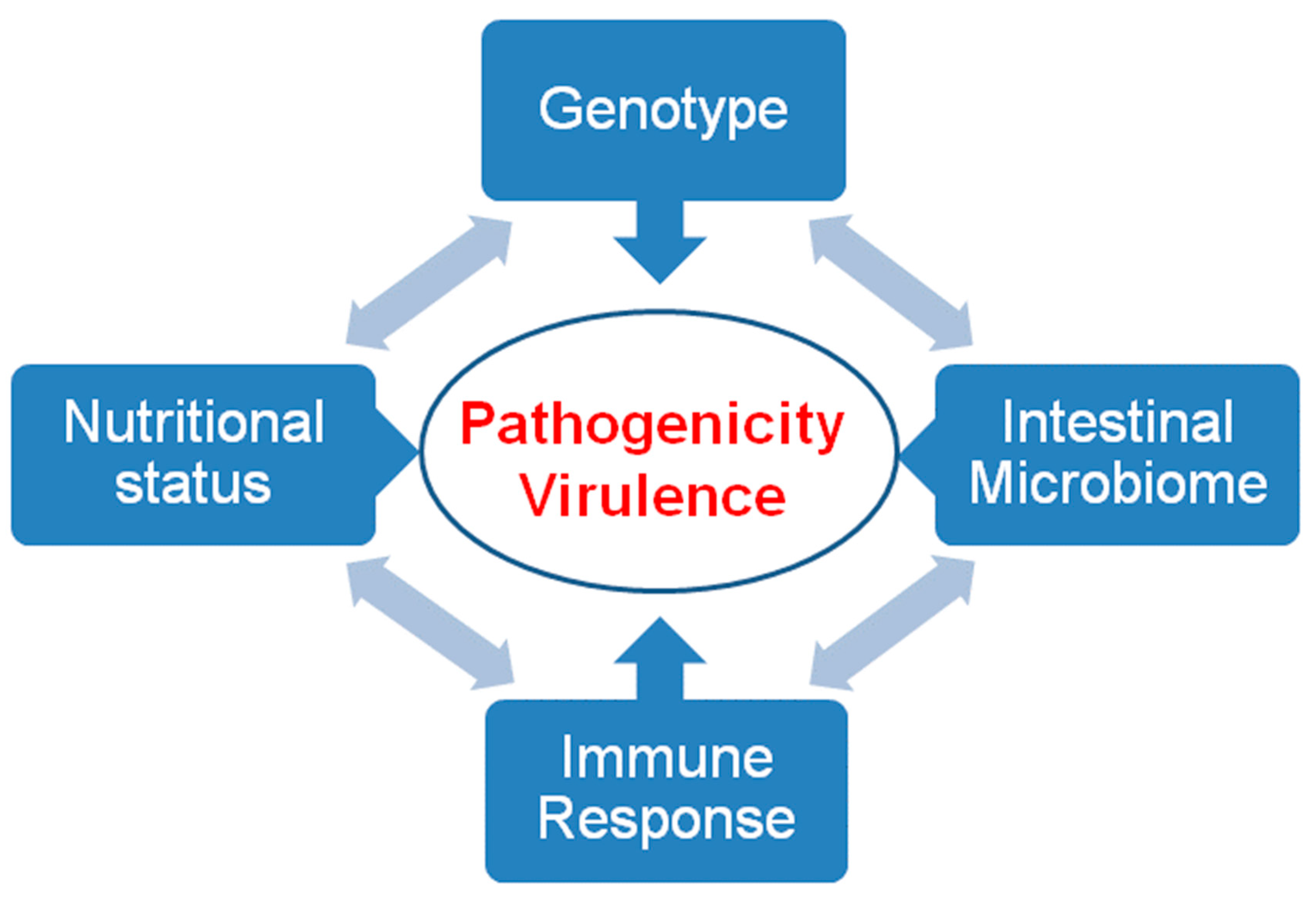 Pathogens 08 00116 g006