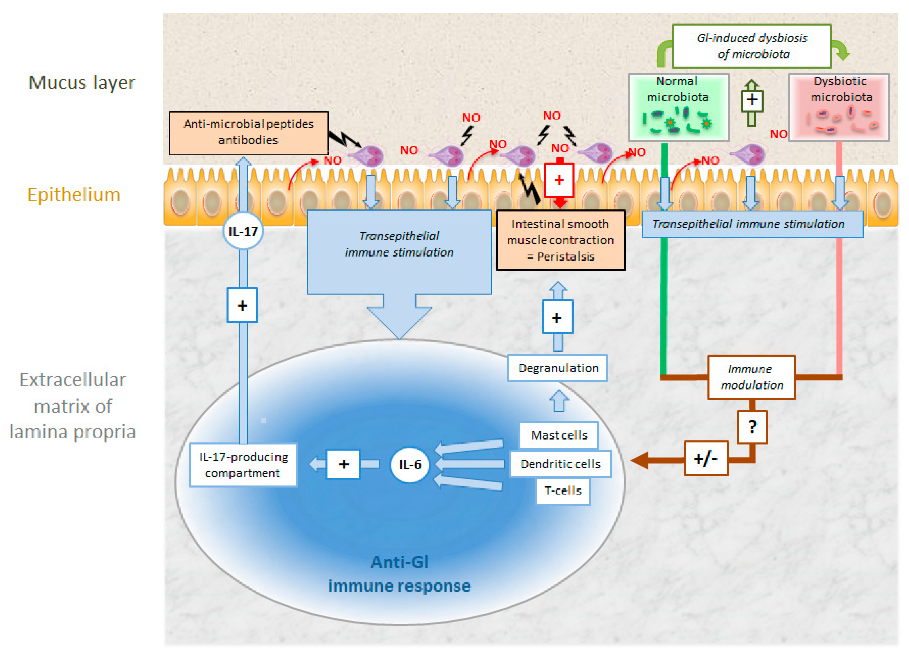 Pathogens 08 00116 g007