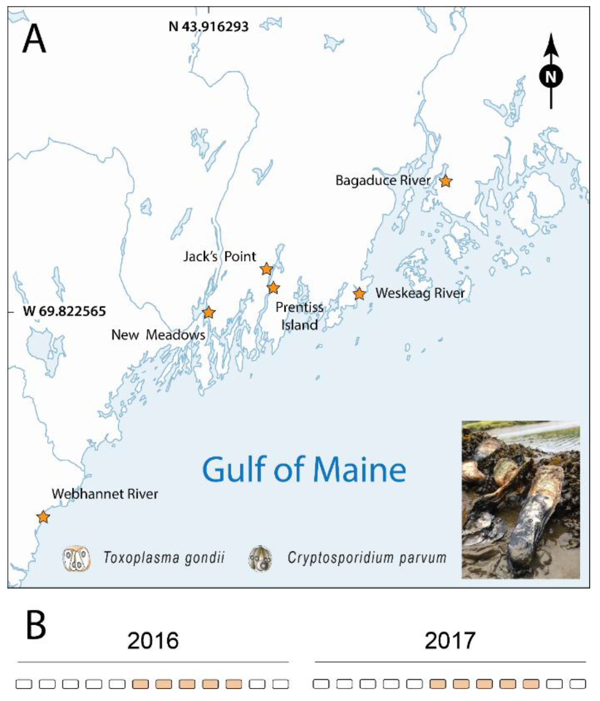 Pathogens 08 00125 g001