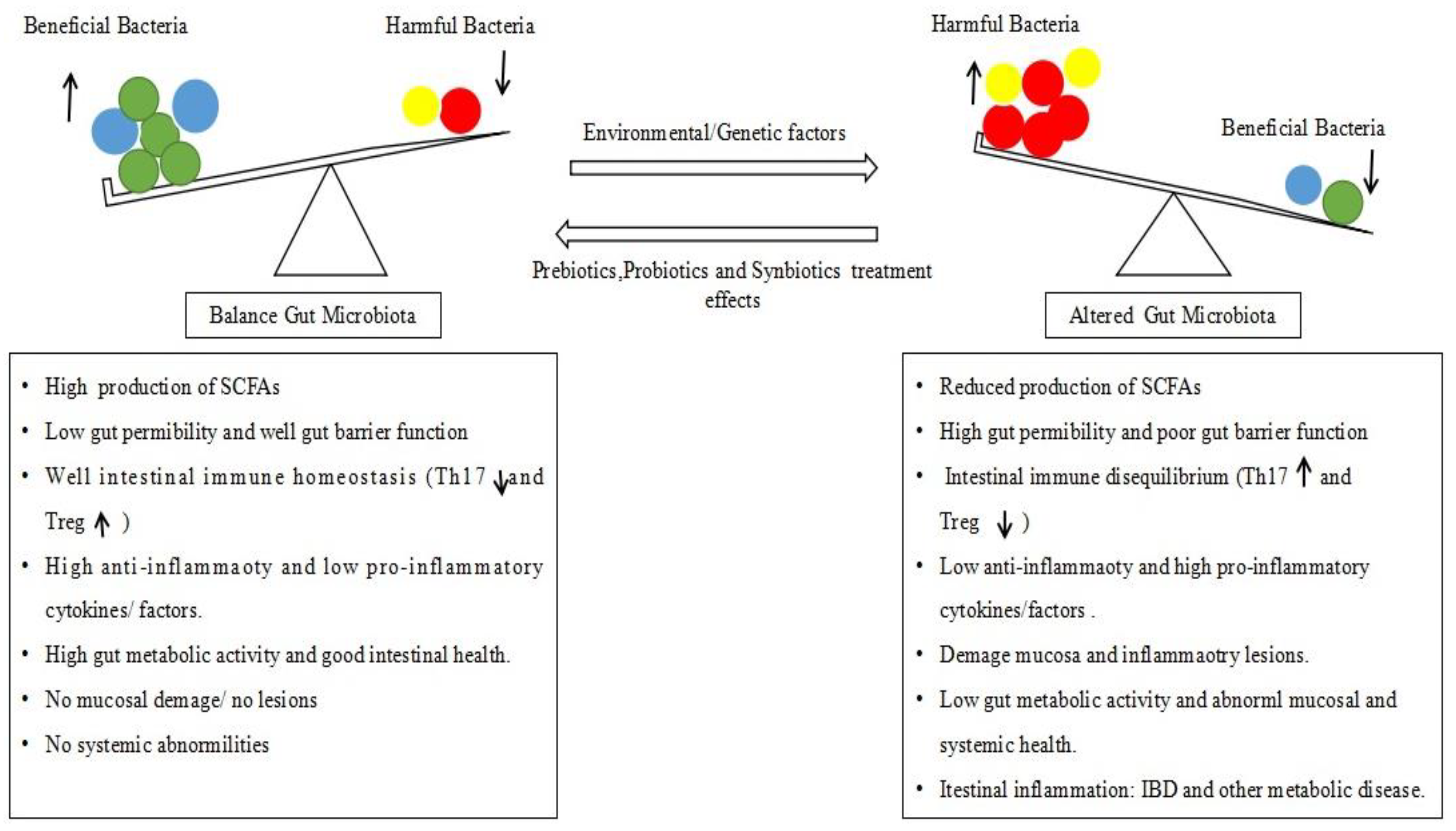 Pathogens 08 00126 g002