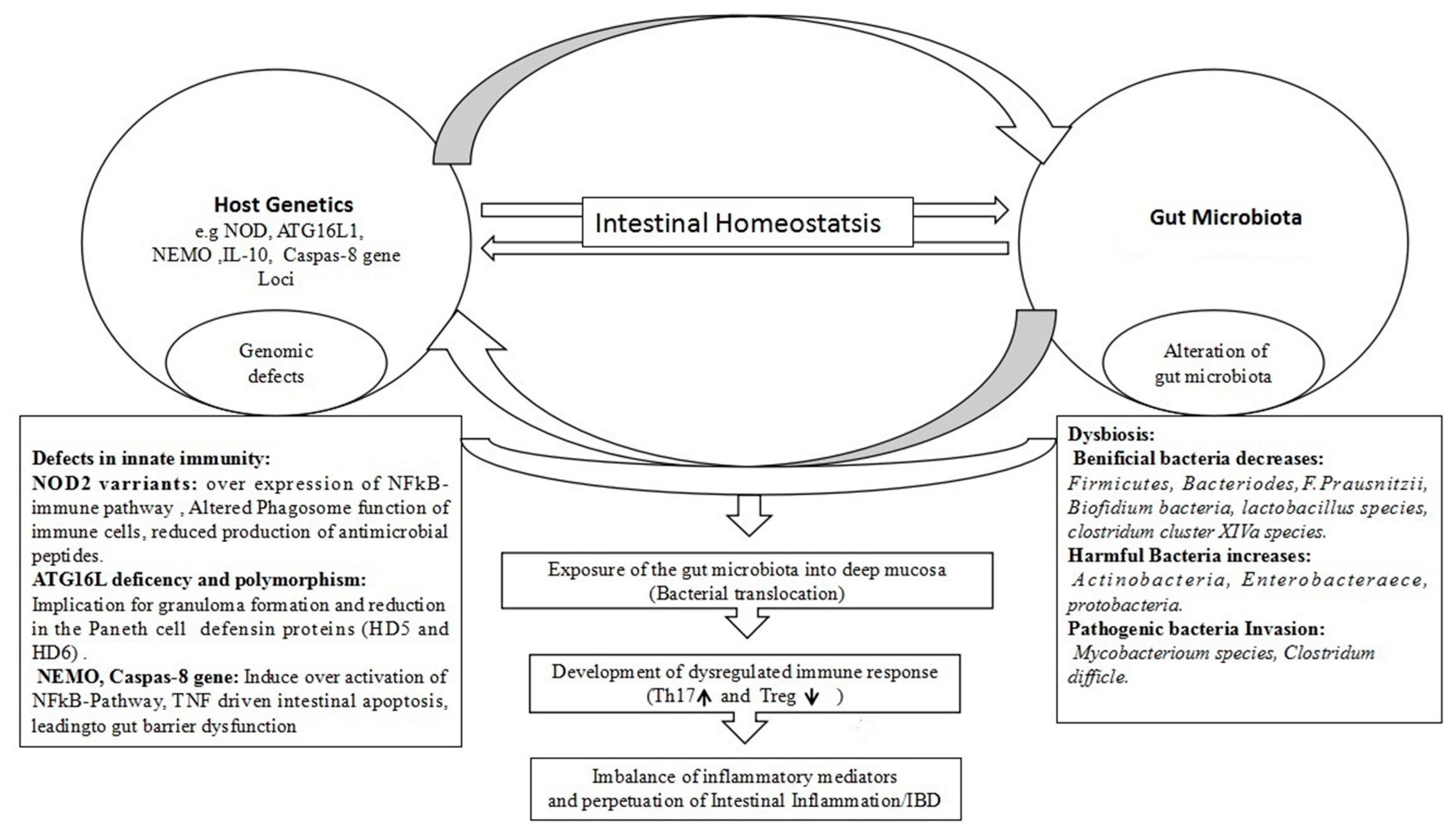Pathogens 08 00126 g003