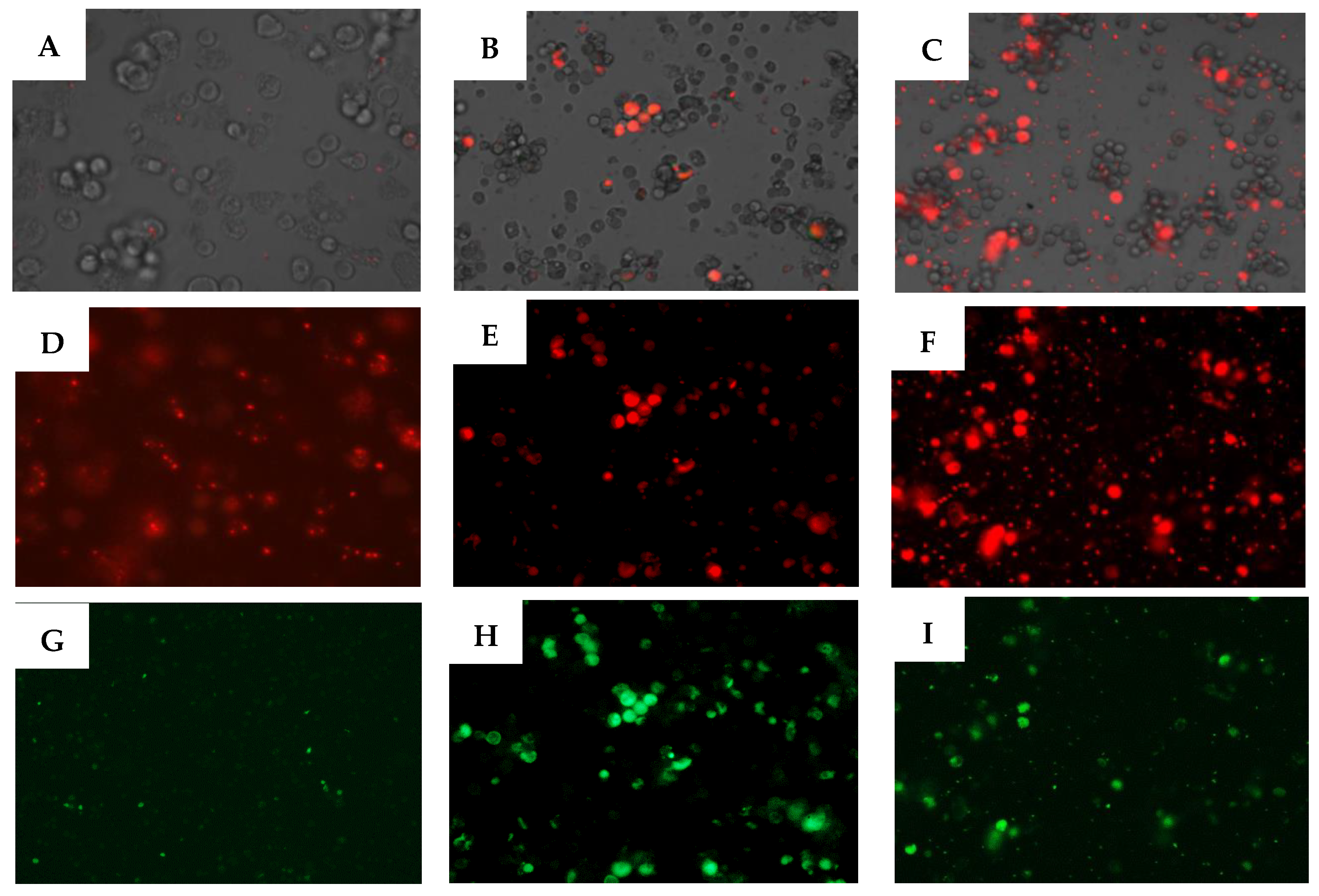 Pathogens 08 00130 g006 Pathogens 08 00130 g006