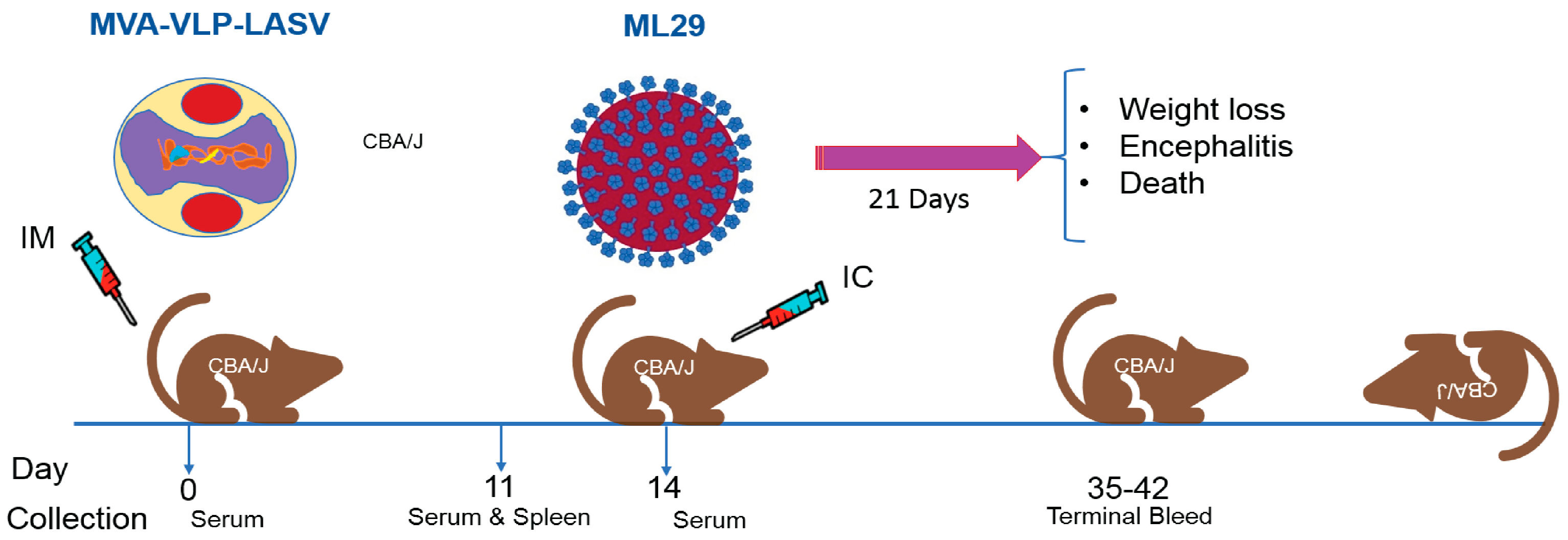 Pathogens 08 00133 g003 Pathogens 08 00133 g003