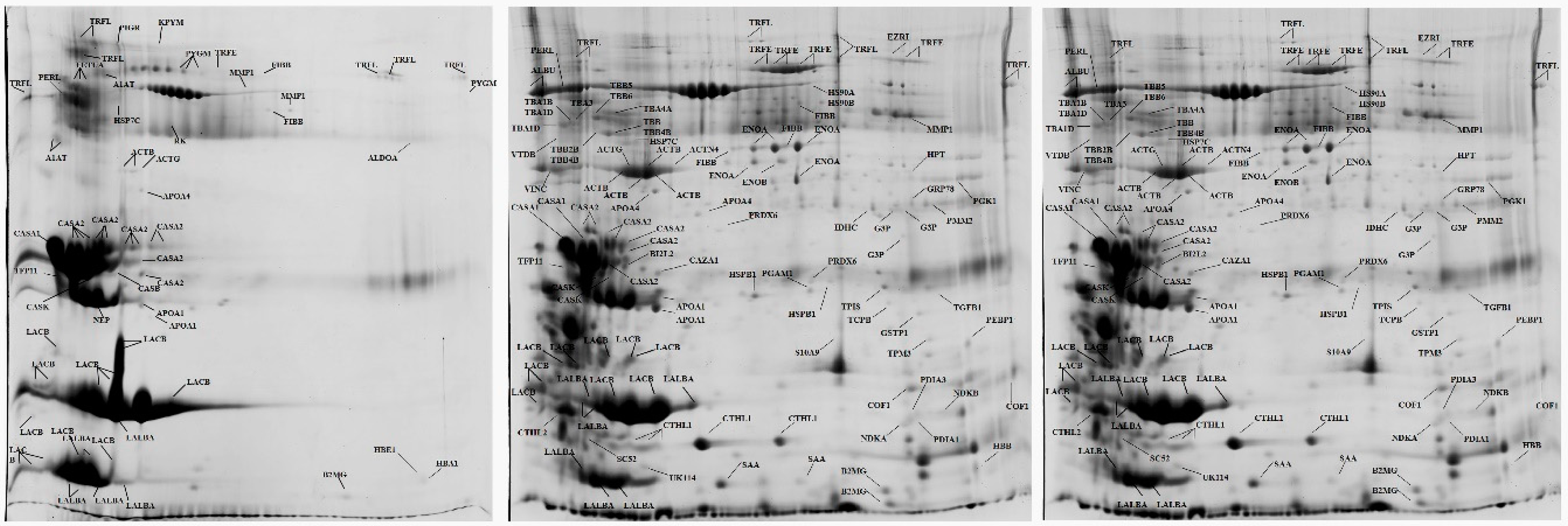 Pathogens 08 00134 g001 Pathogens 08 00134 g001