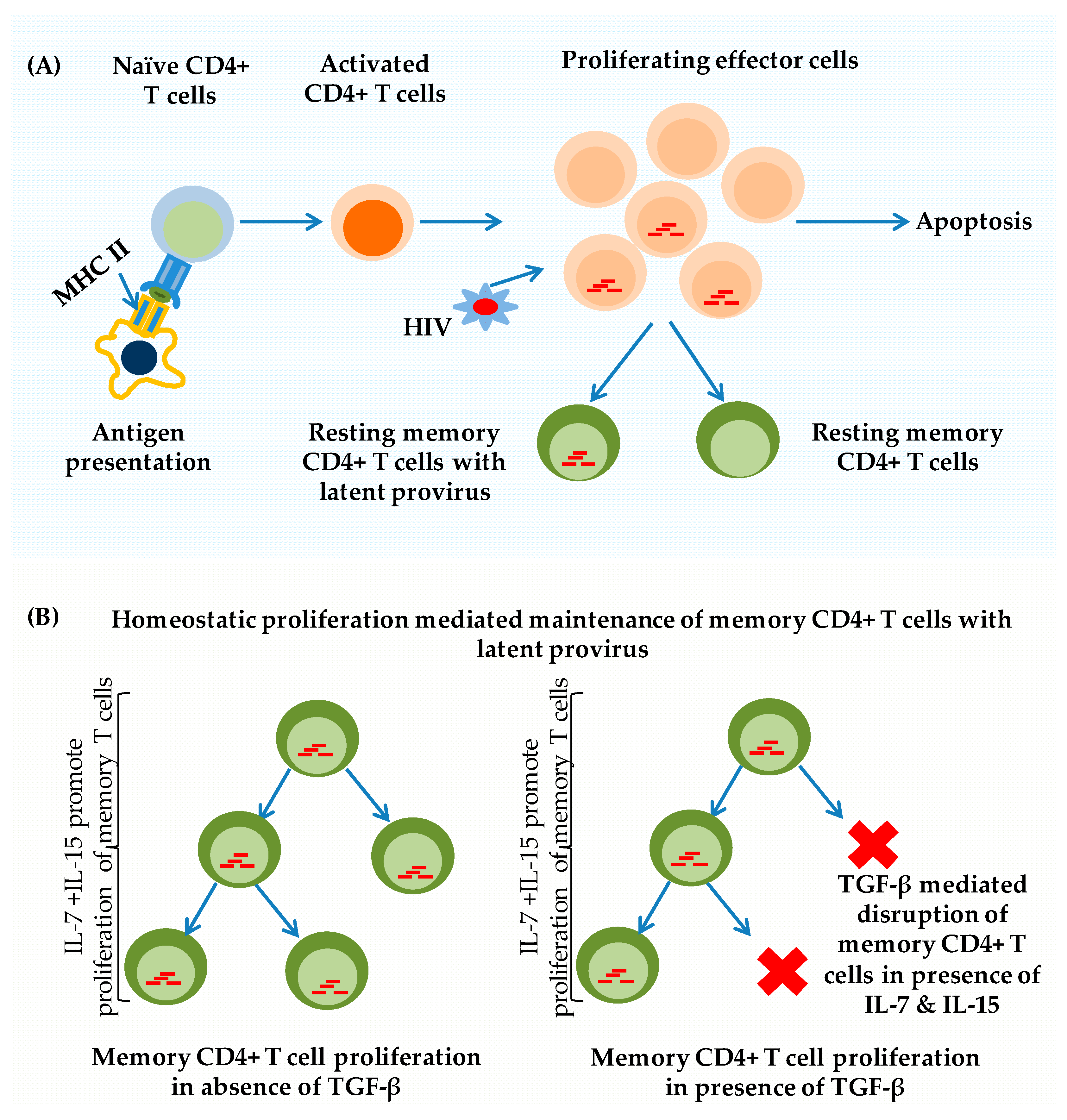 Pathogens 08 00137 g001