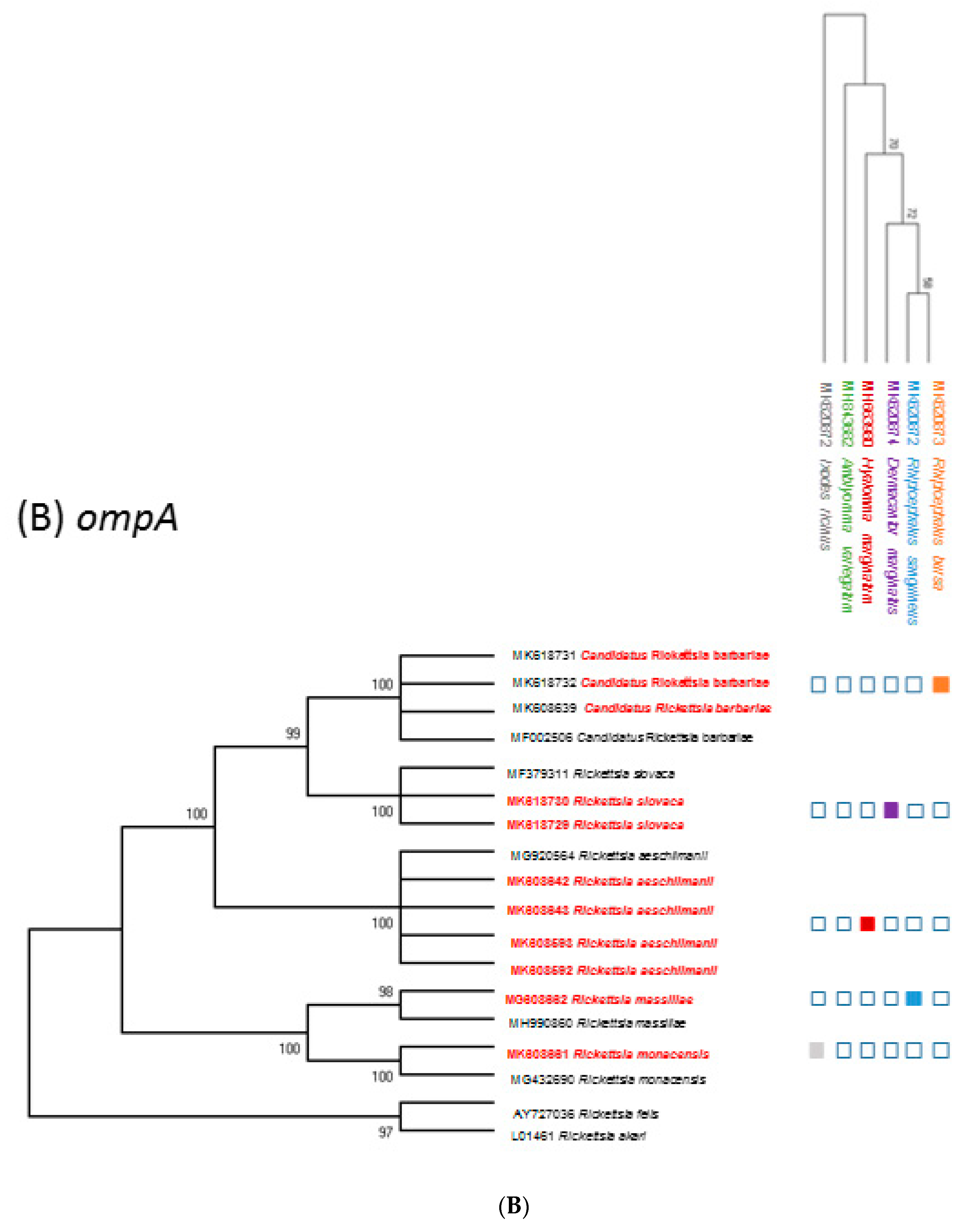 Pathogens 08 00138 g002b