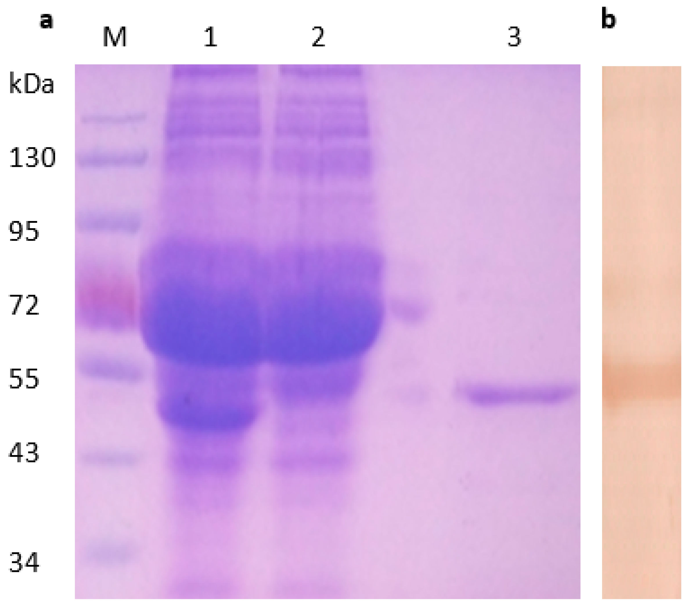Pathogens 08 00140 g001