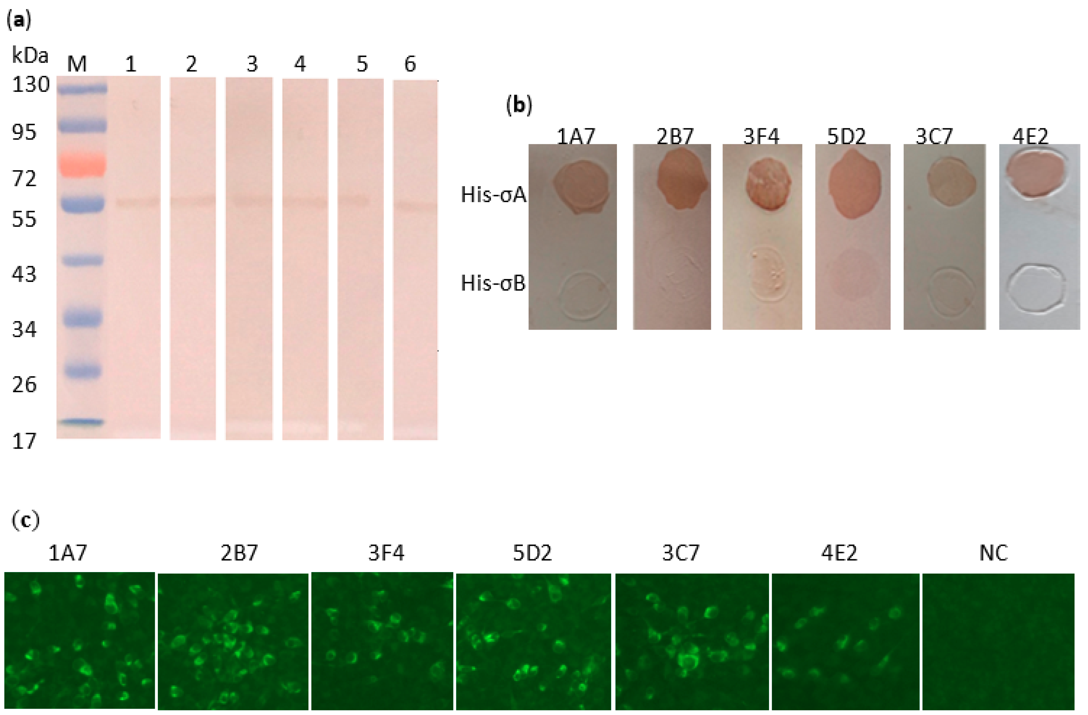 Pathogens 08 00140 g002