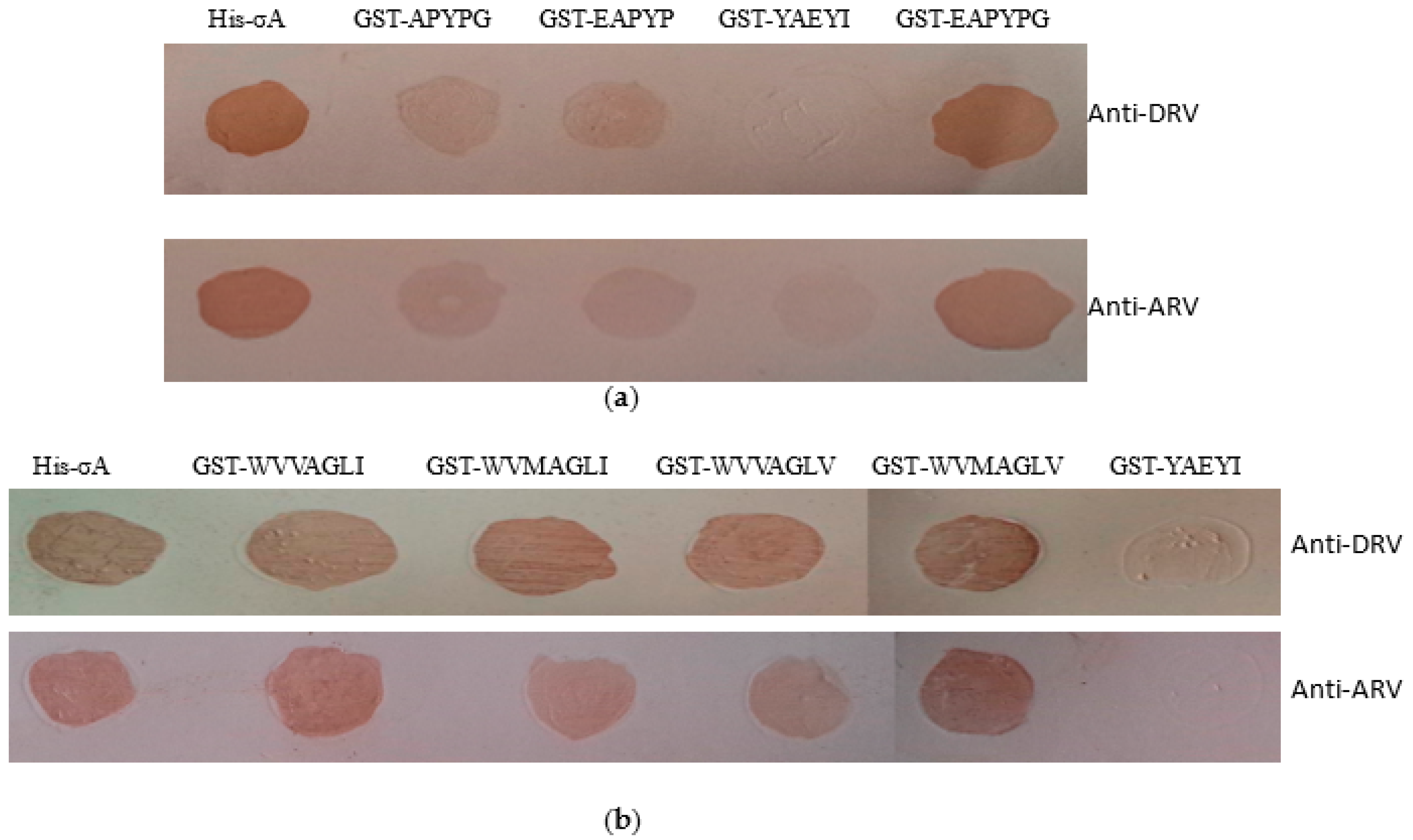 Pathogens 08 00140 g006