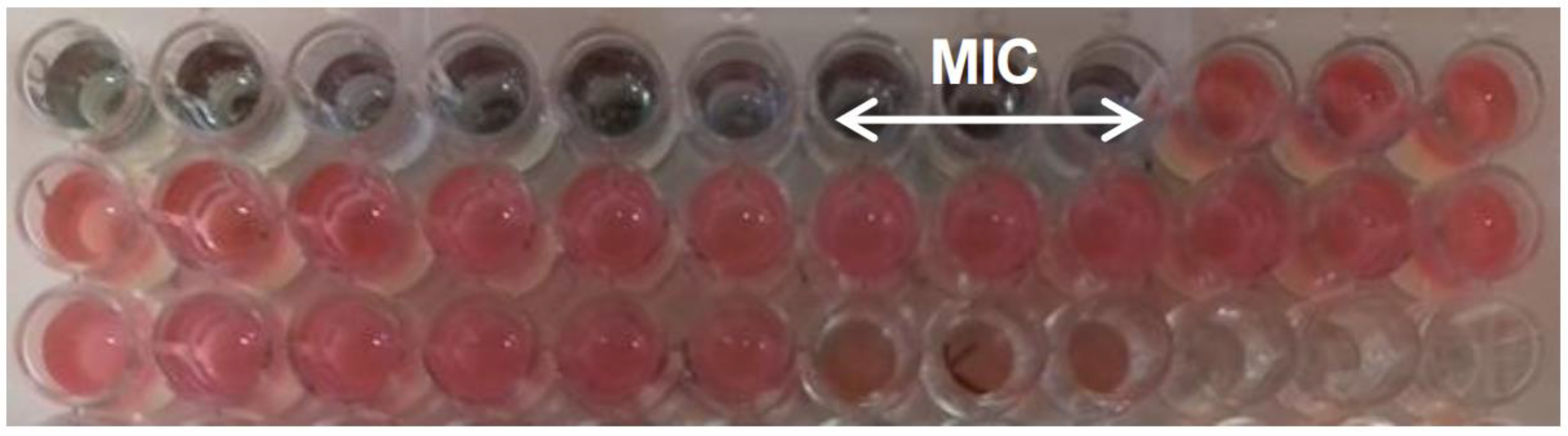 Pathogens 08 00142 g001