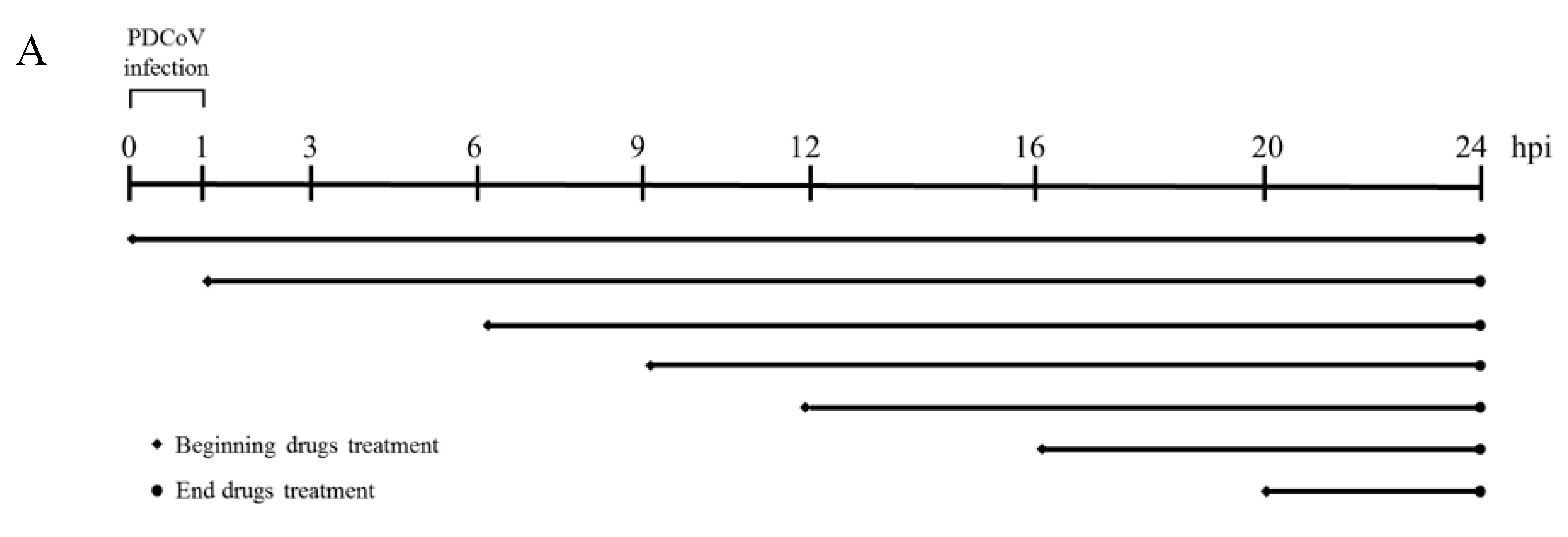 Pathogens 08 00144 g006a