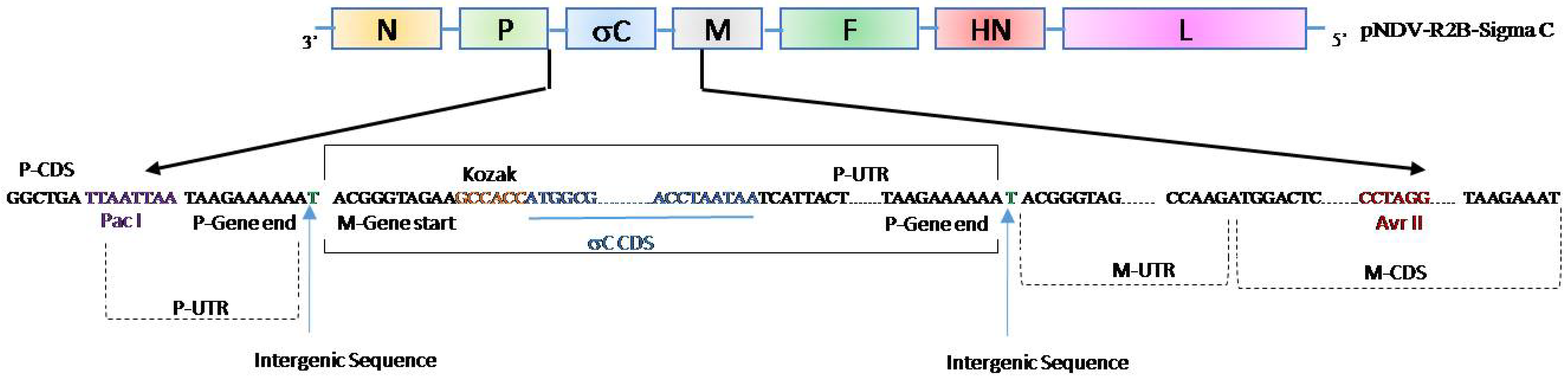 Pathogens 08 00145 g001