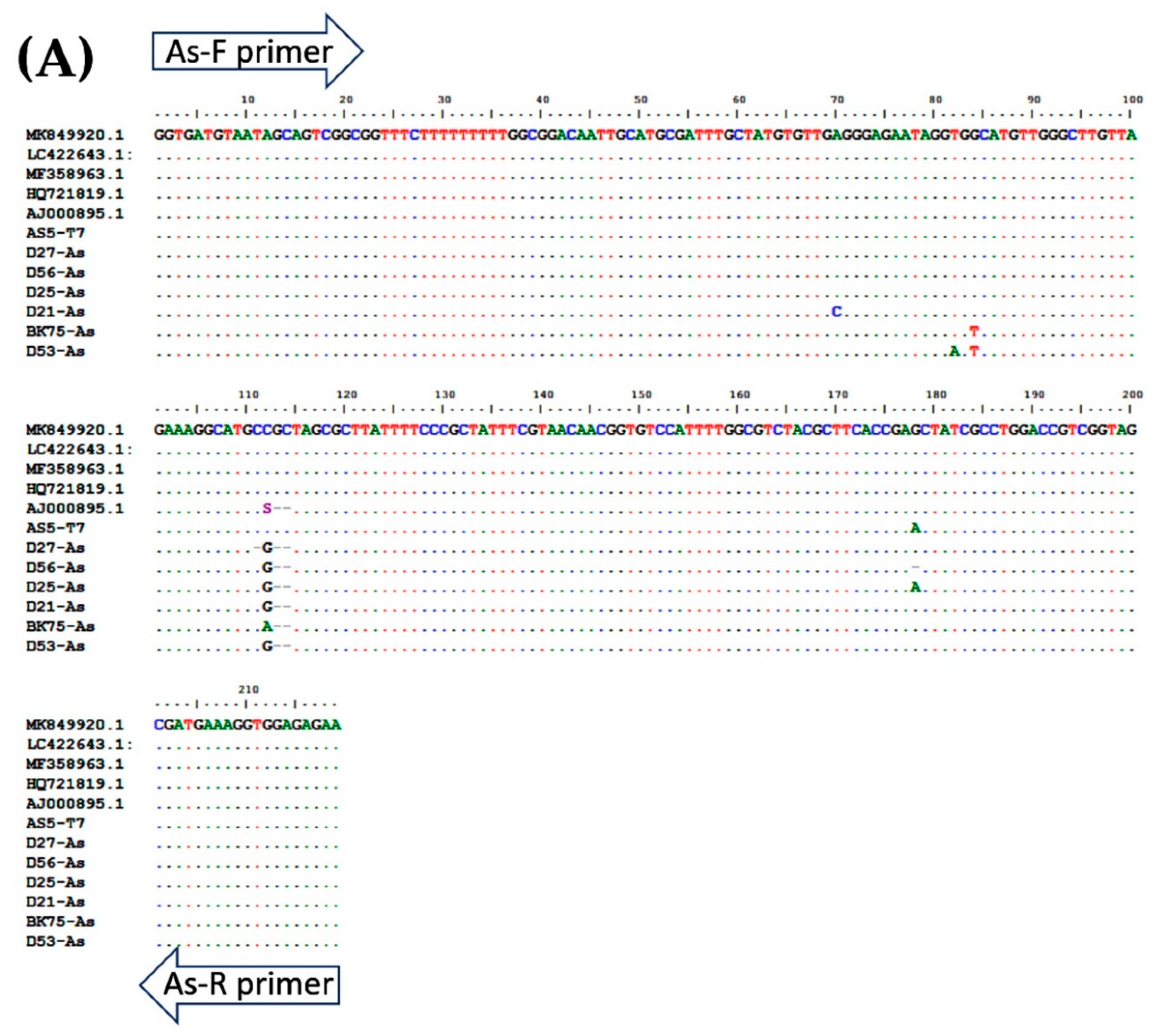Pathogens 08 00152 g004a