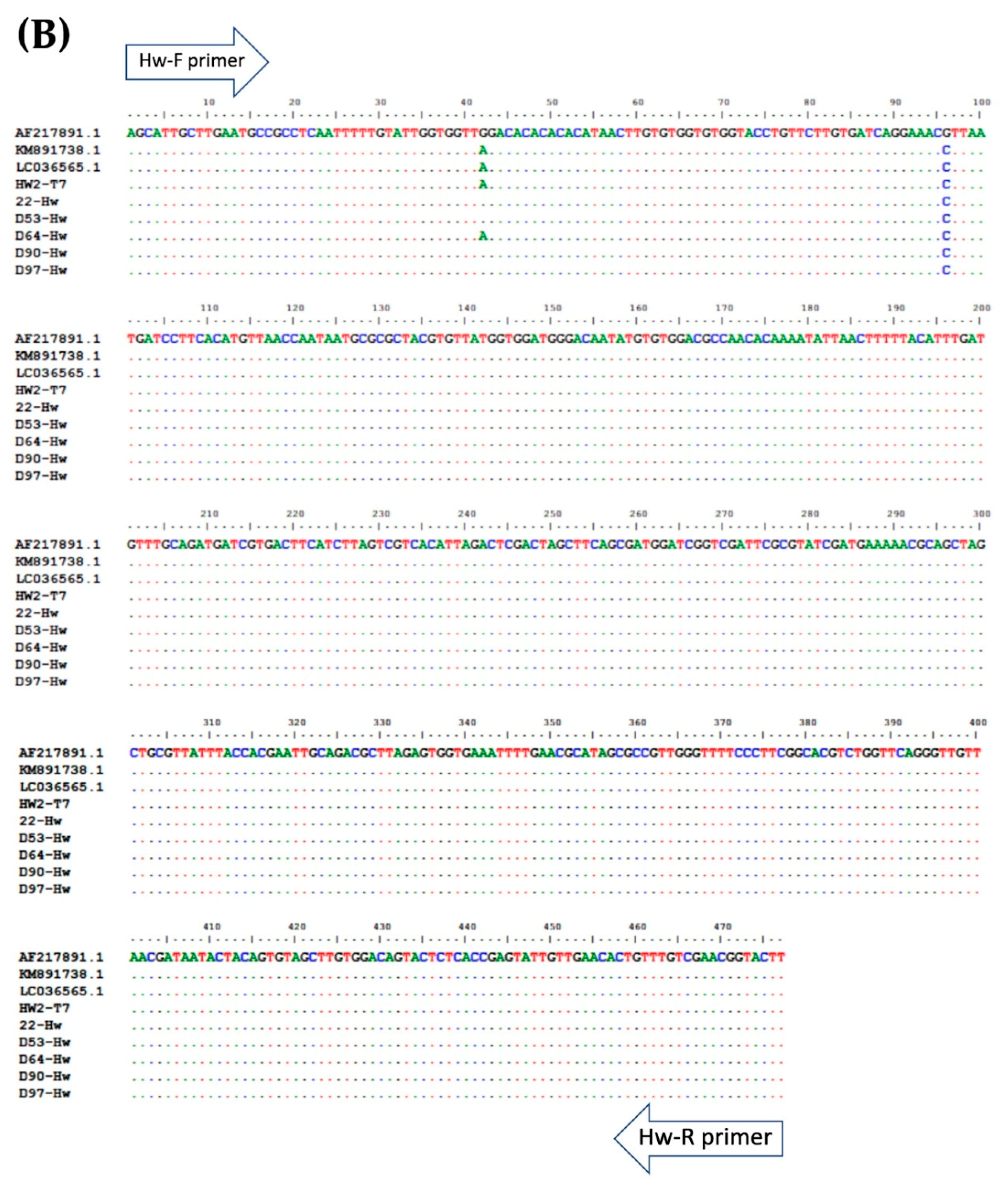 Pathogens 08 00152 g004b