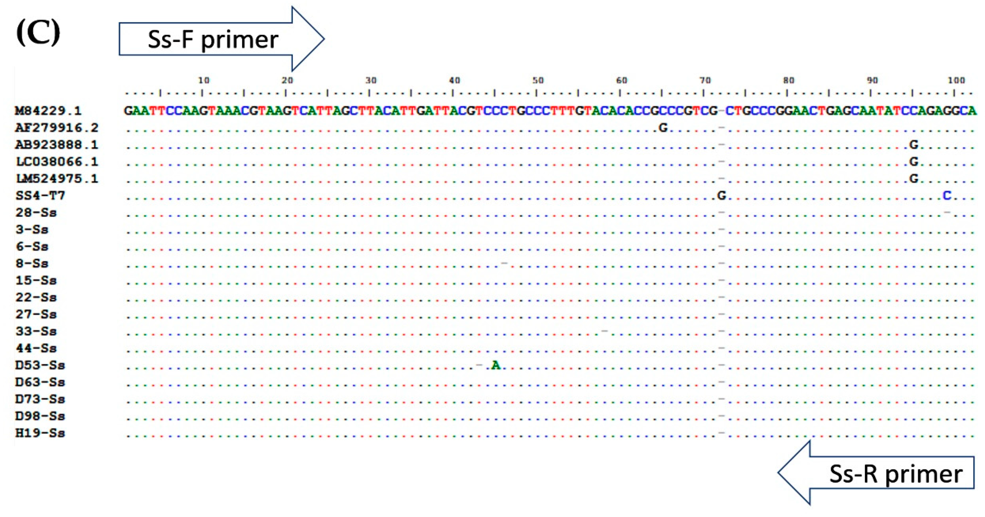 Pathogens 08 00152 g004c
