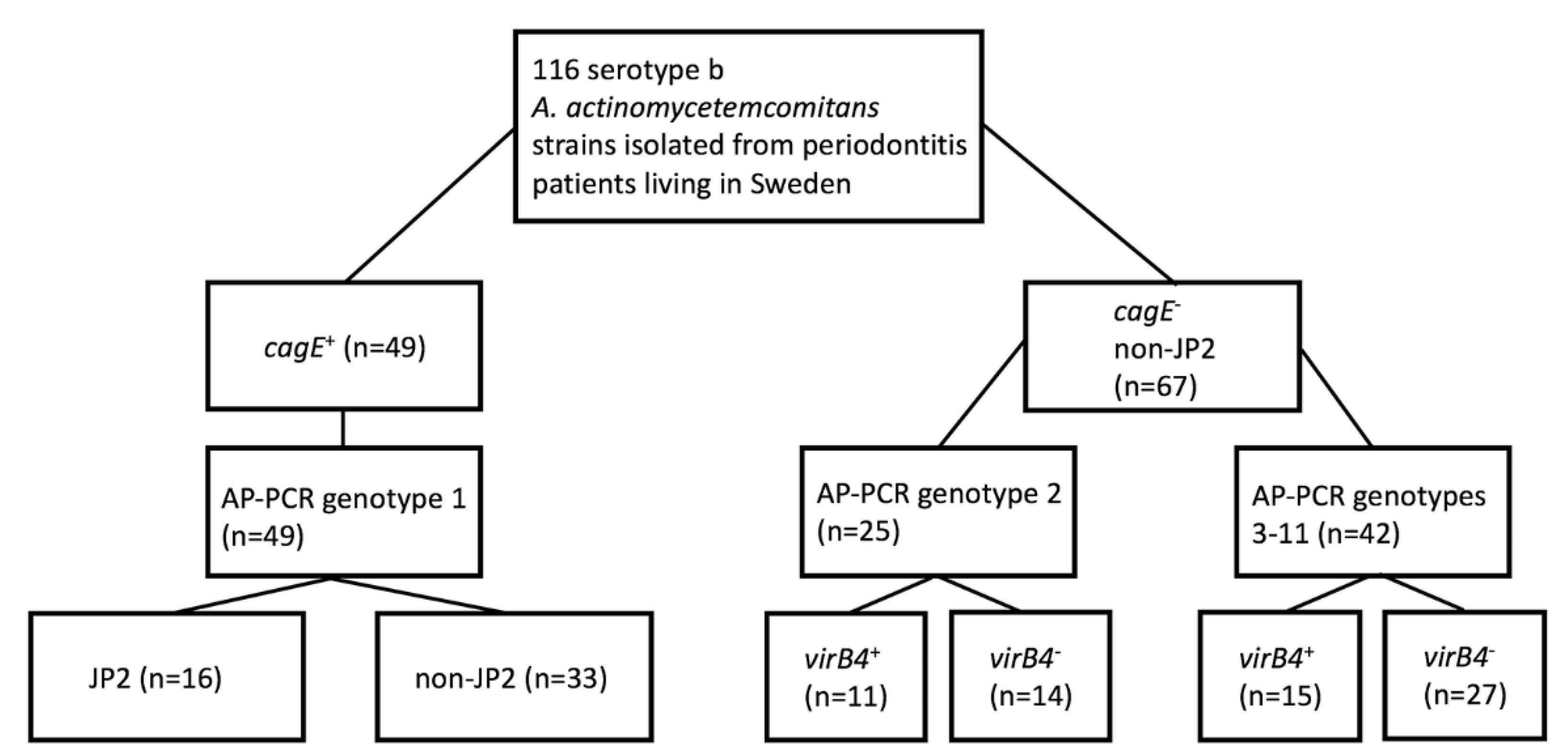 Pathogens 08 00153 g002