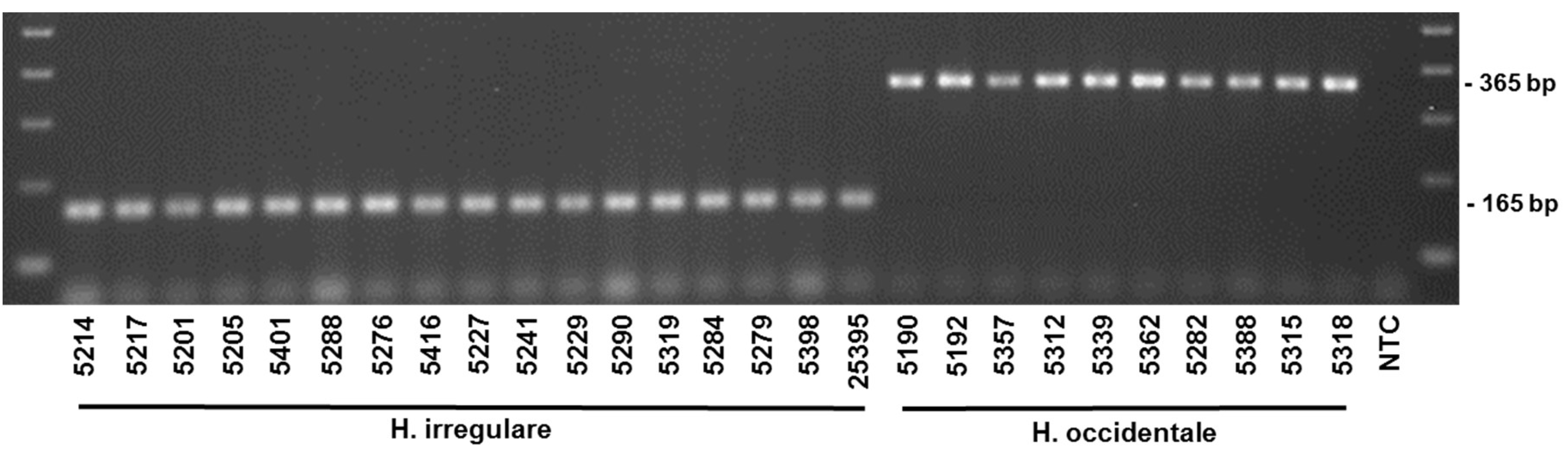 Pathogens 08 00156 g002 Pathogens 08 00156 g002