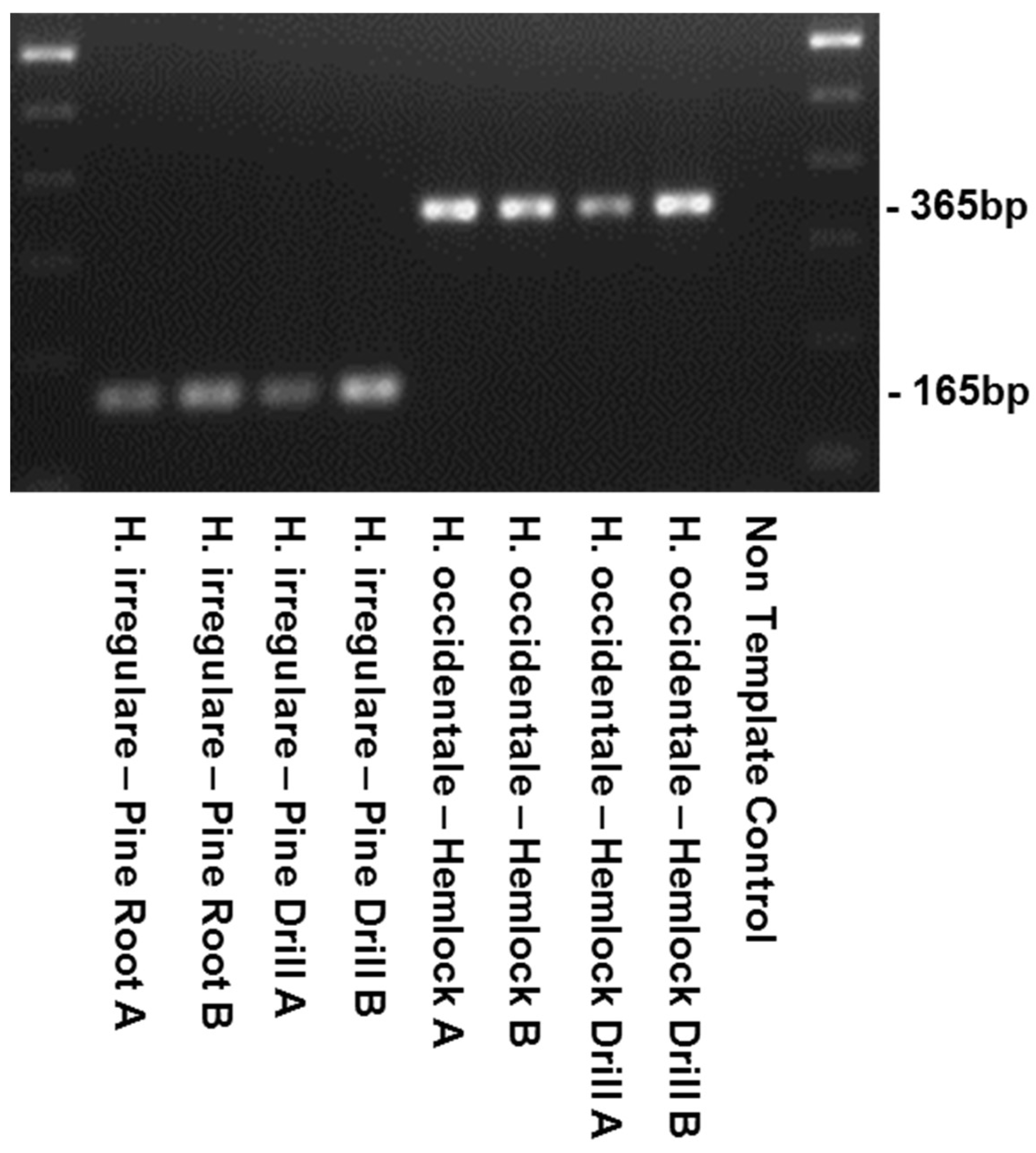 Pathogens 08 00156 g003 Pathogens 08 00156 g003