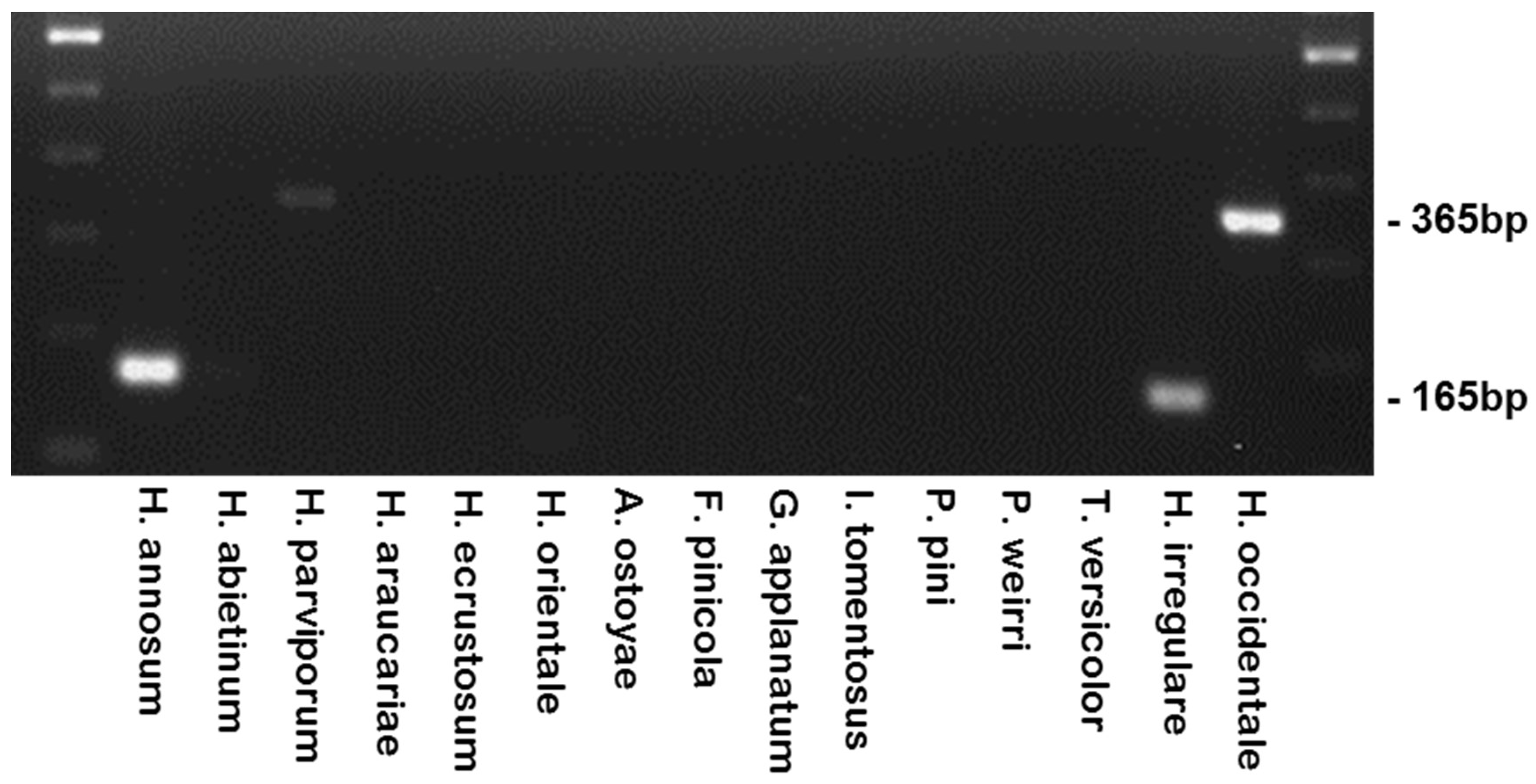 Pathogens 08 00156 g004 Pathogens 08 00156 g004