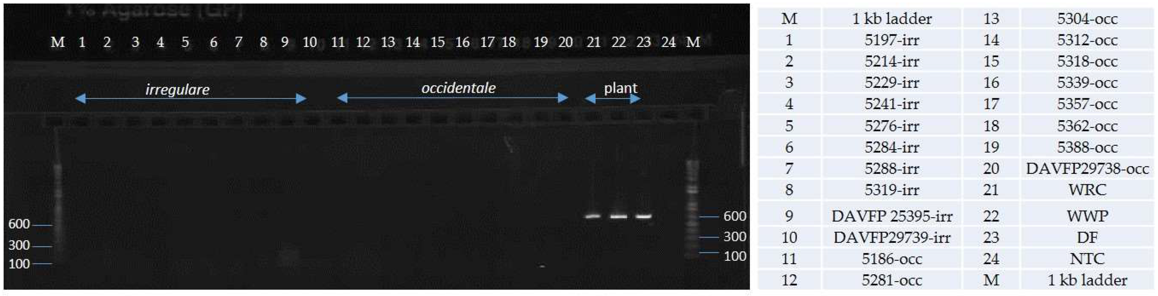 Pathogens 08 00156 g005 Pathogens 08 00156 g005