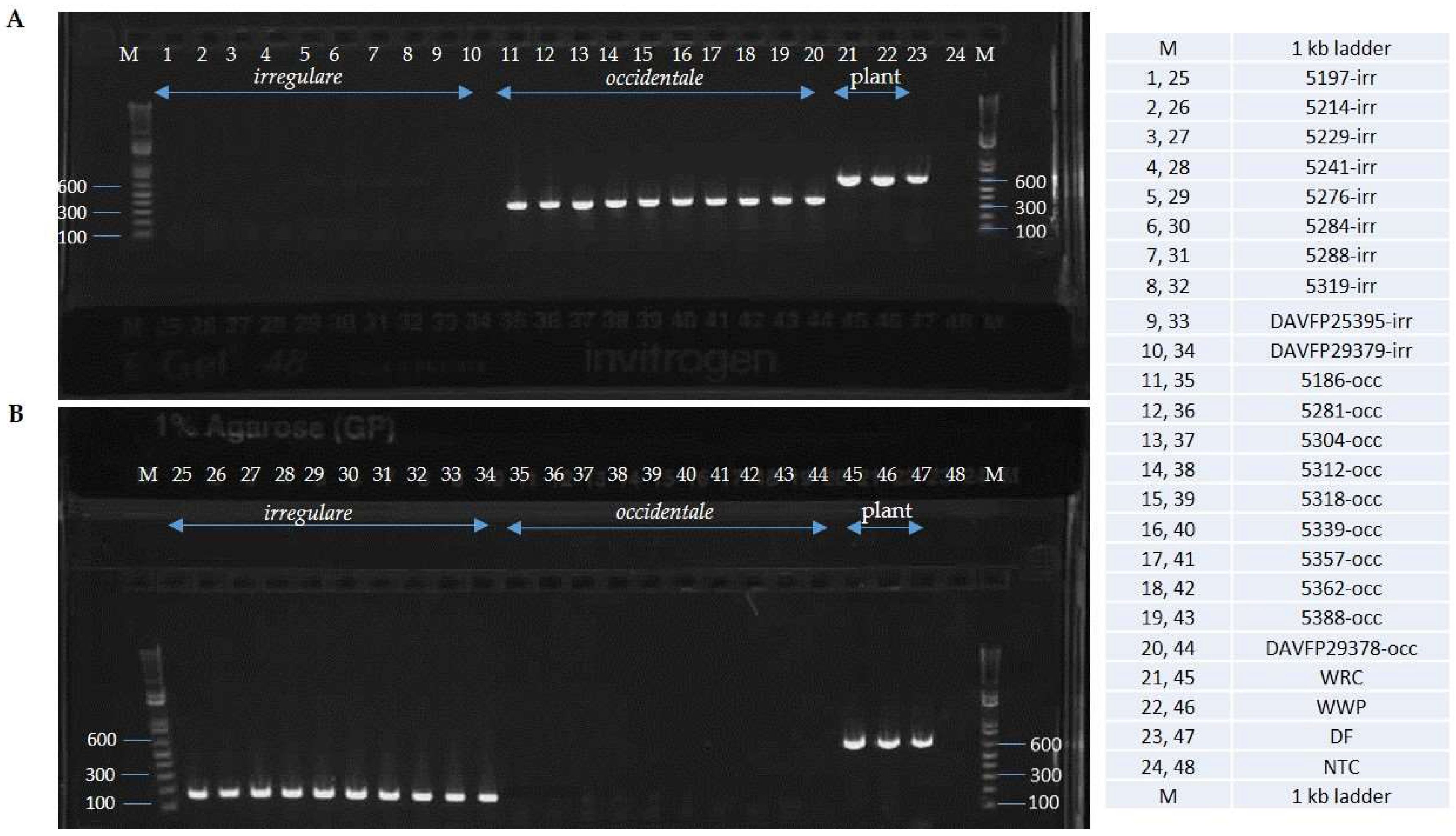 Pathogens 08 00156 g006 Pathogens 08 00156 g006
