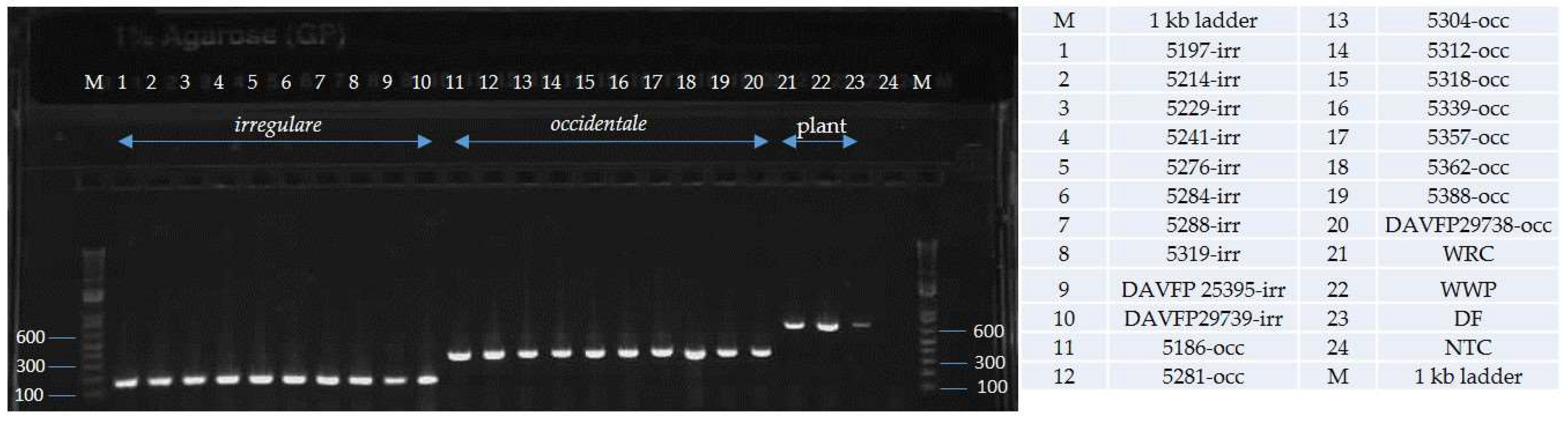 Pathogens 08 00156 g007 Pathogens 08 00156 g007