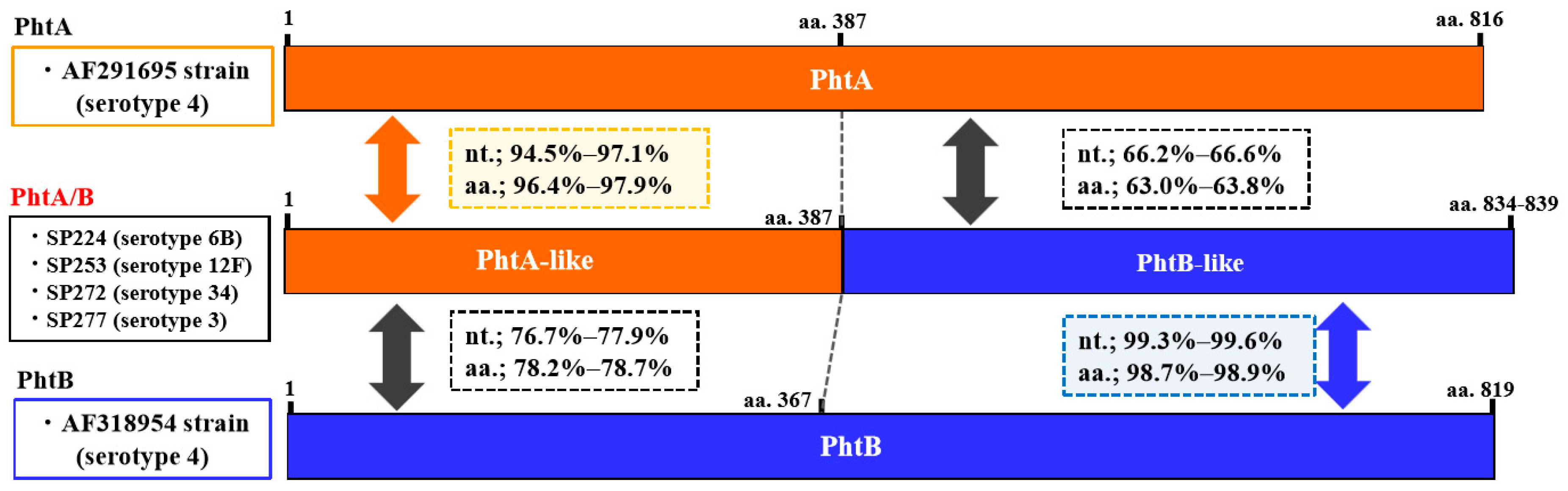 Pathogens 08 00162 g001