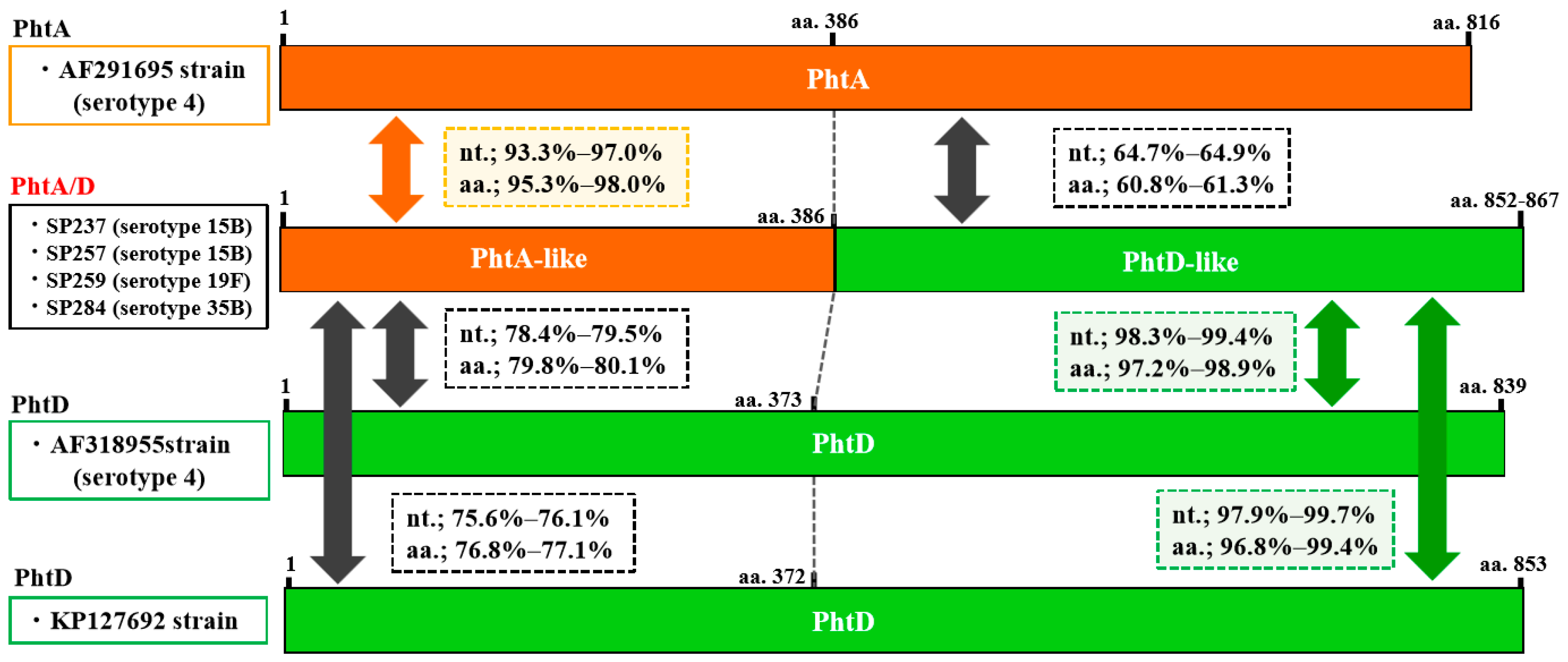 Pathogens 08 00162 g002