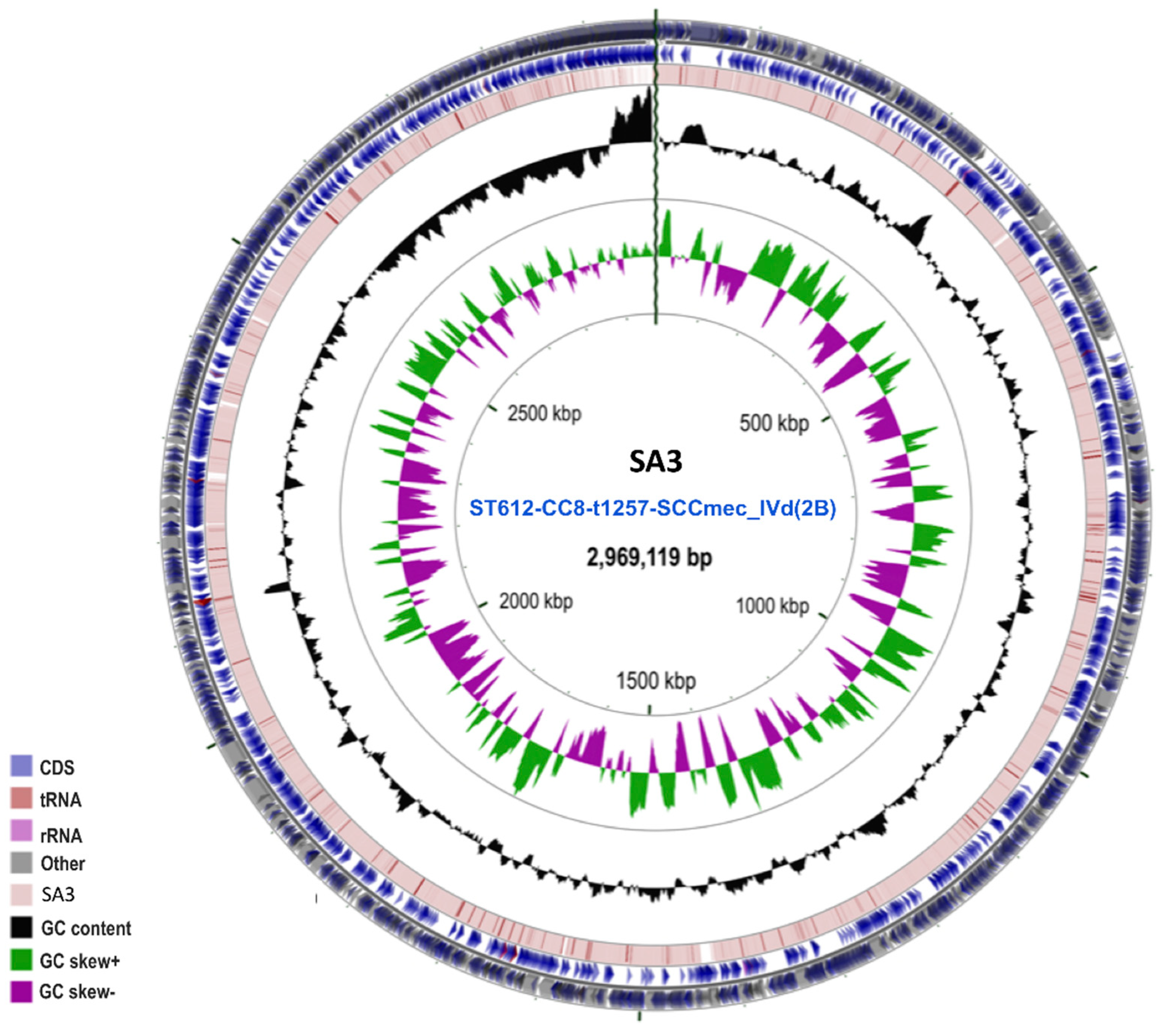 Pathogens 08 00166 g001