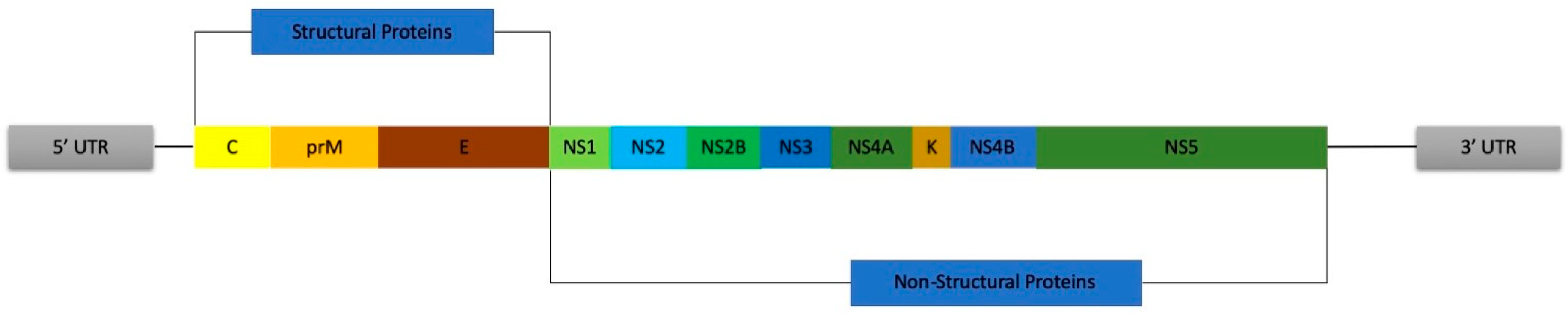 Pathogens 08 00169 g001