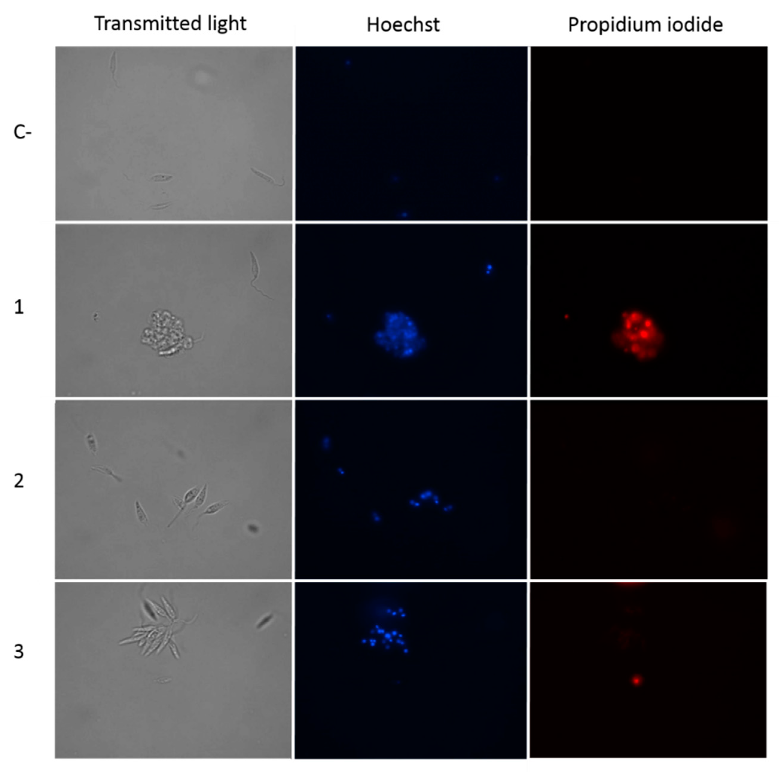 Pathogens 08 00172 g004