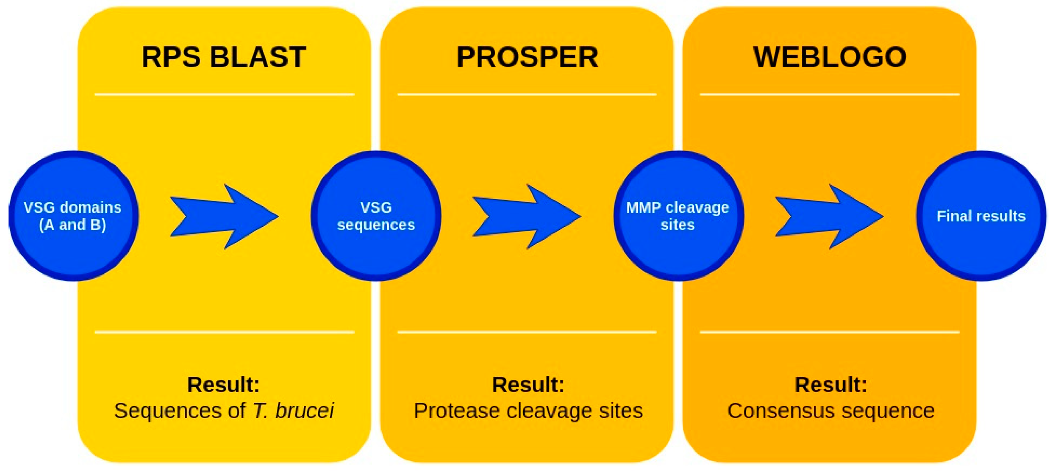 Pathogens 08 00178 g001