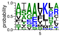 Pathogens 08 00178 i005