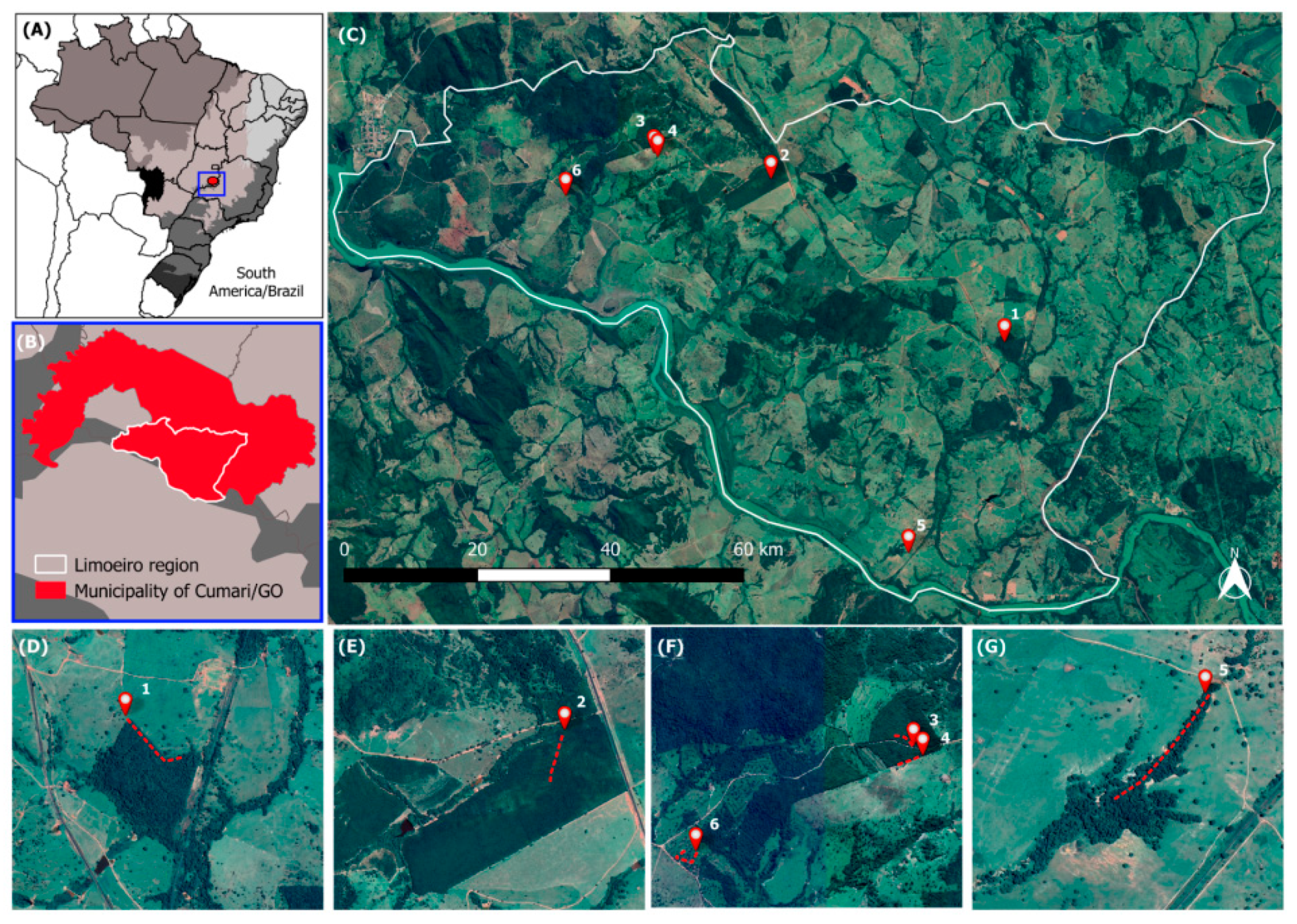 Pathogens 08 00190 g001