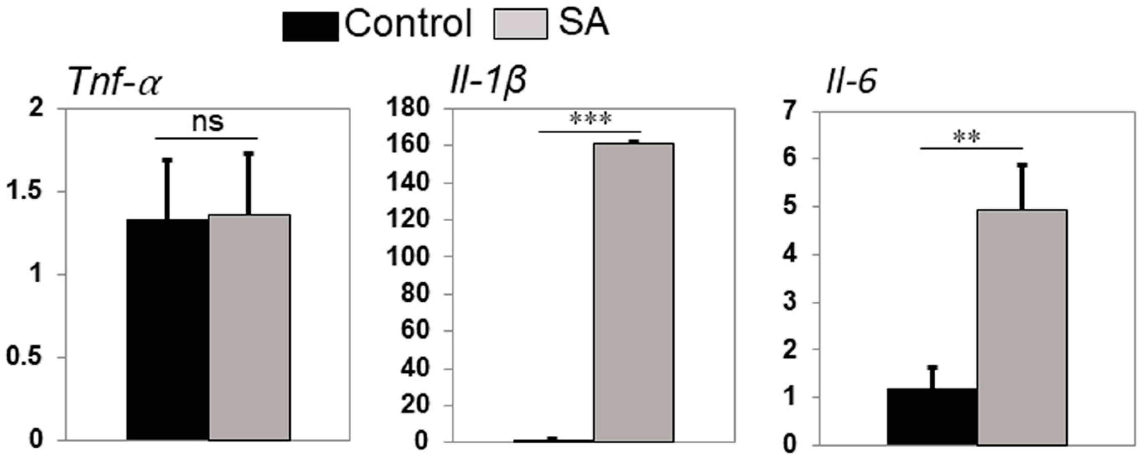 Pathogens 08 00207 g006