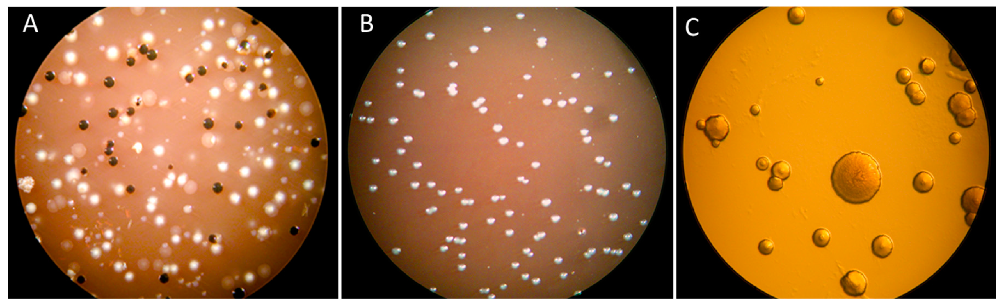 Pathogens 08 00222 g001 Pathogens 08 00222 g001