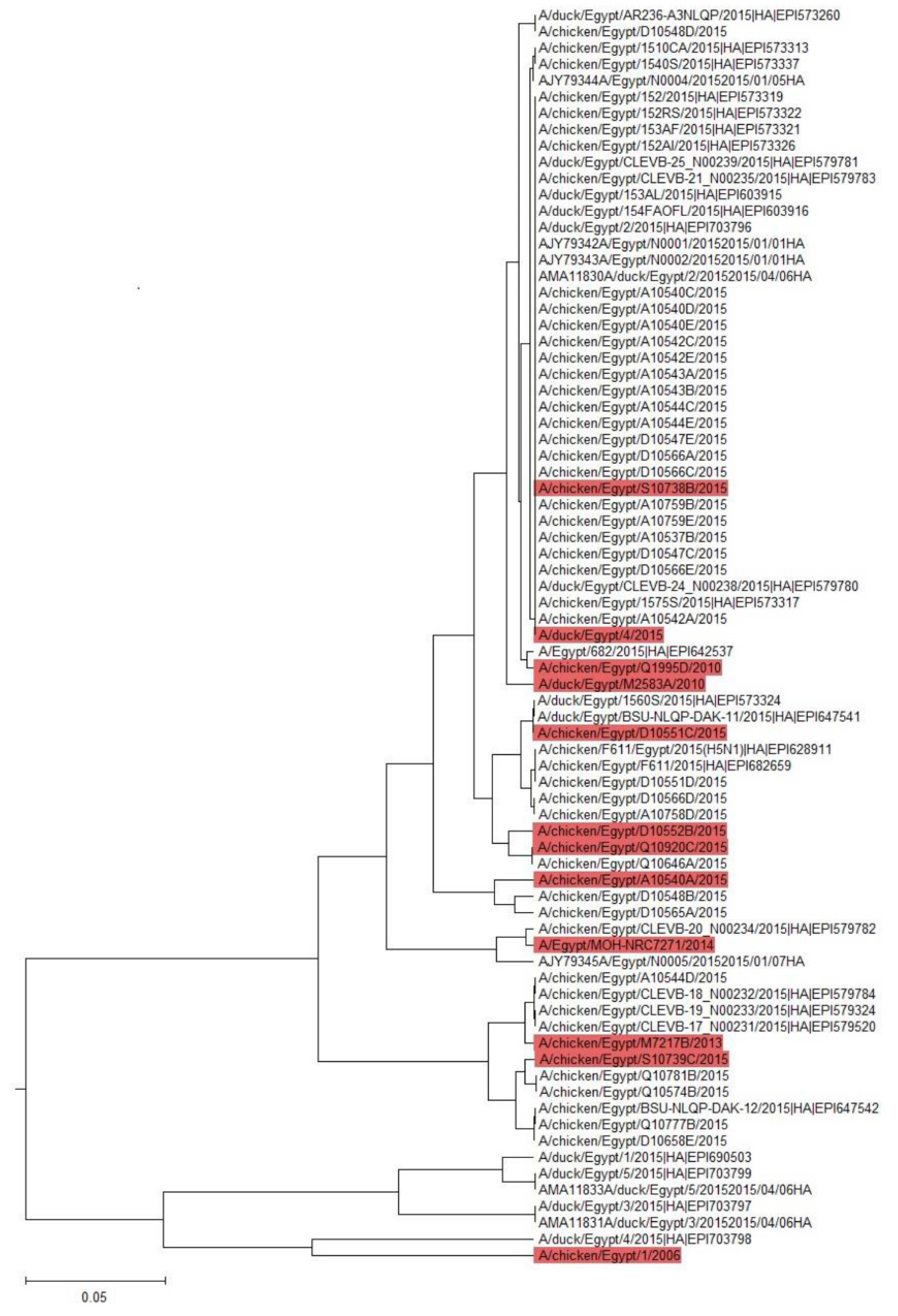 Pathogens 08 00224 g001 Pathogens 08 00224 g001