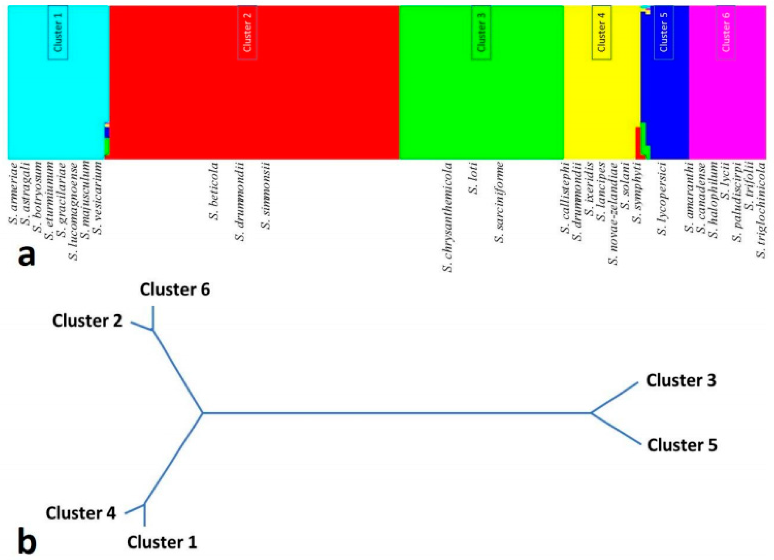 Pathogens 08 00225 g005 Pathogens 08 00225 g005