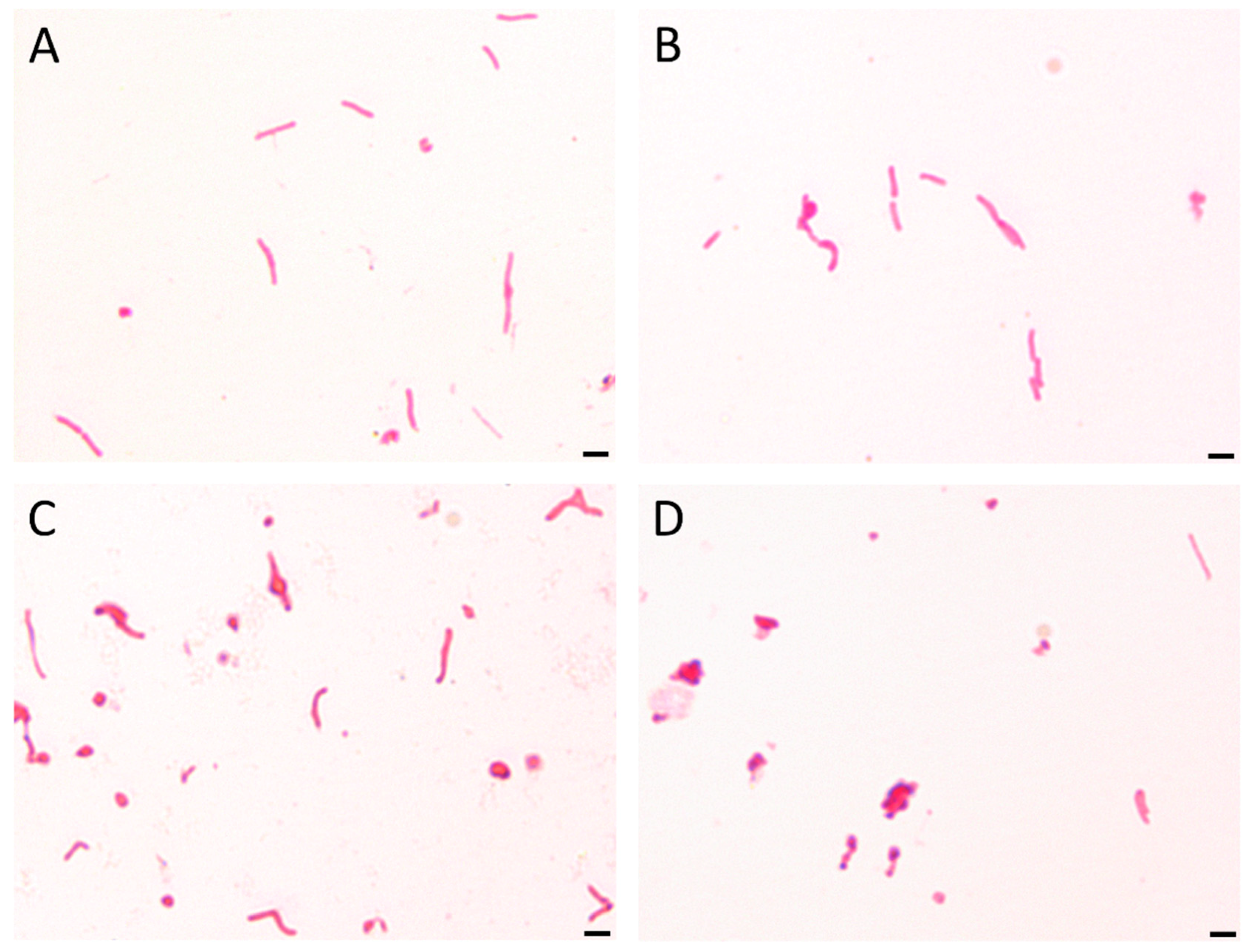 Pathogens 08 00228 g004 Pathogens 08 00228 g004