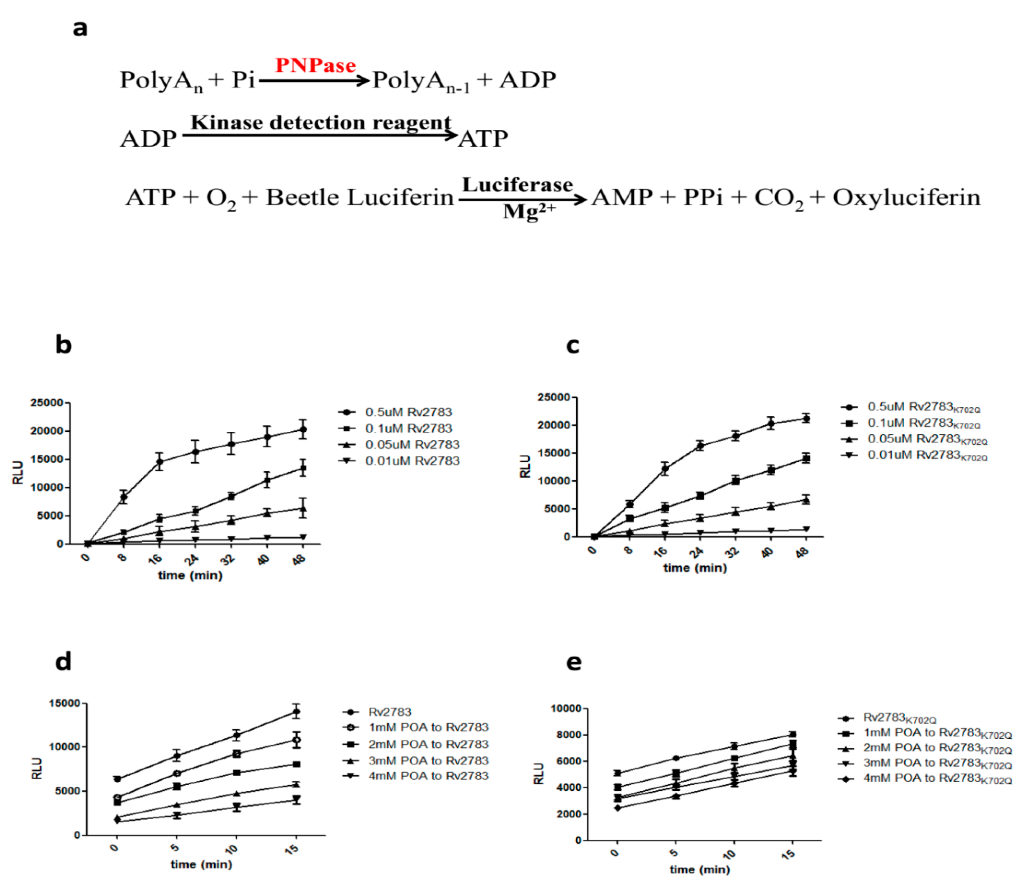 Pathogens 08 00230 g002
