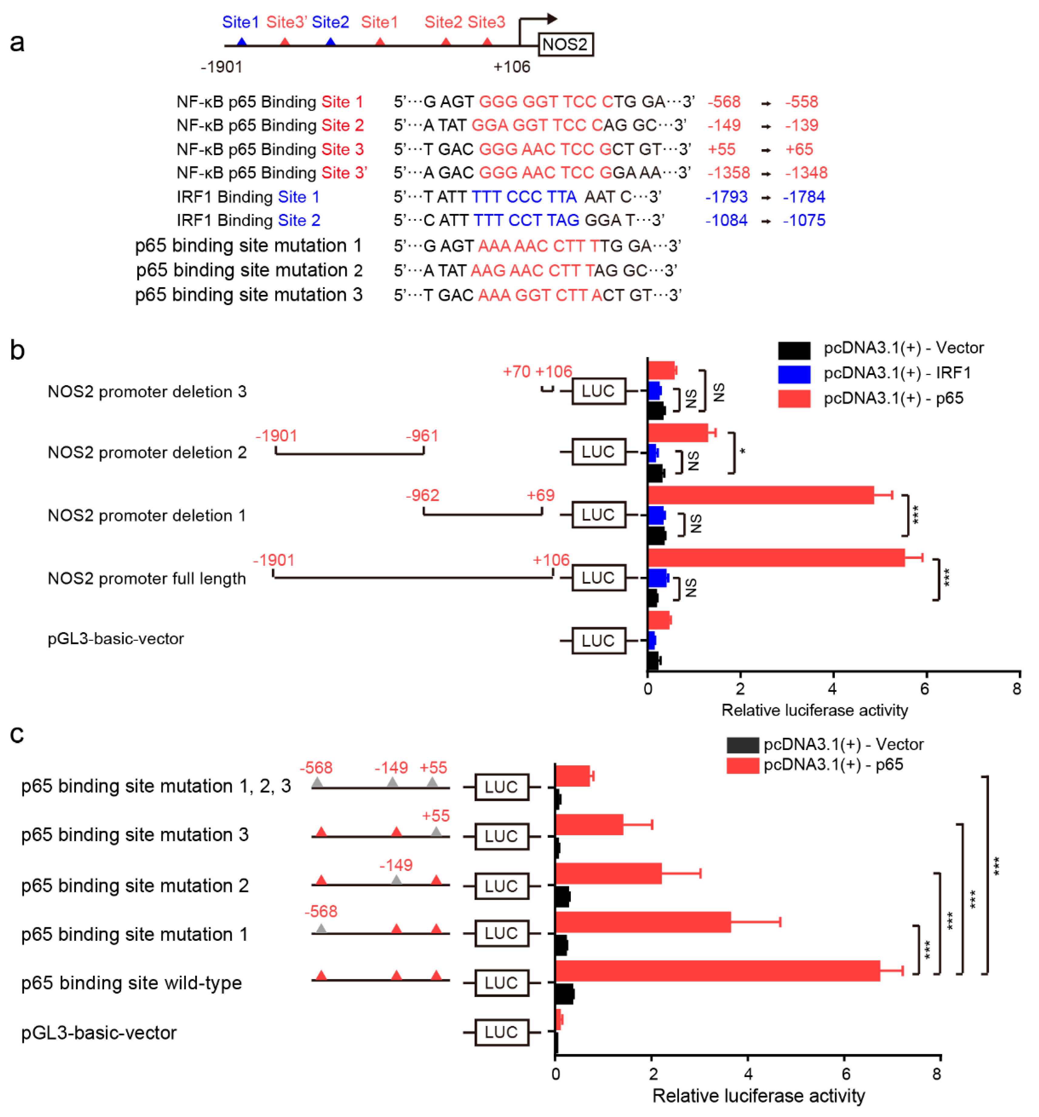 Pathogens 08 00234 g005