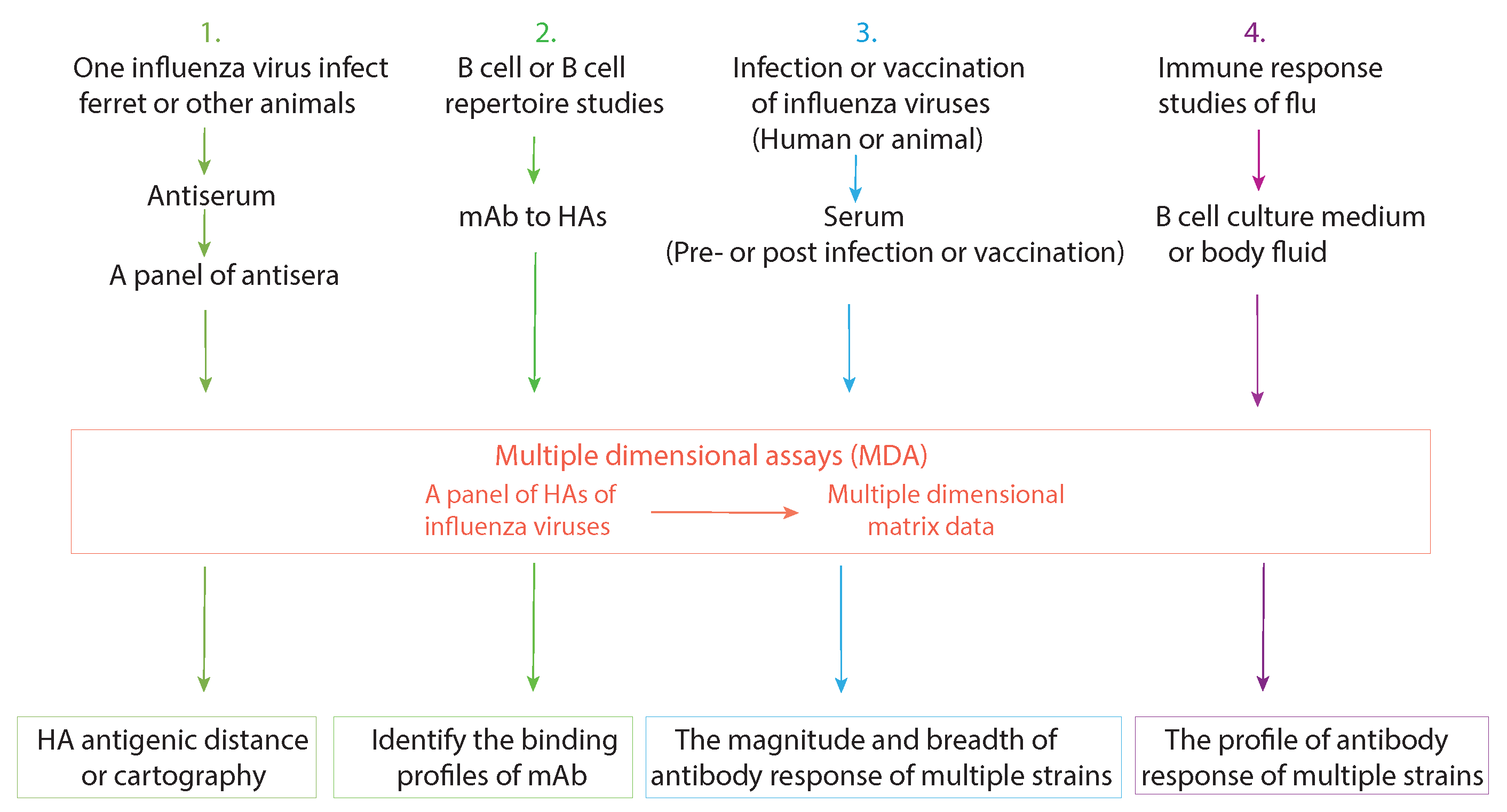 Pathogens 08 00238 g002