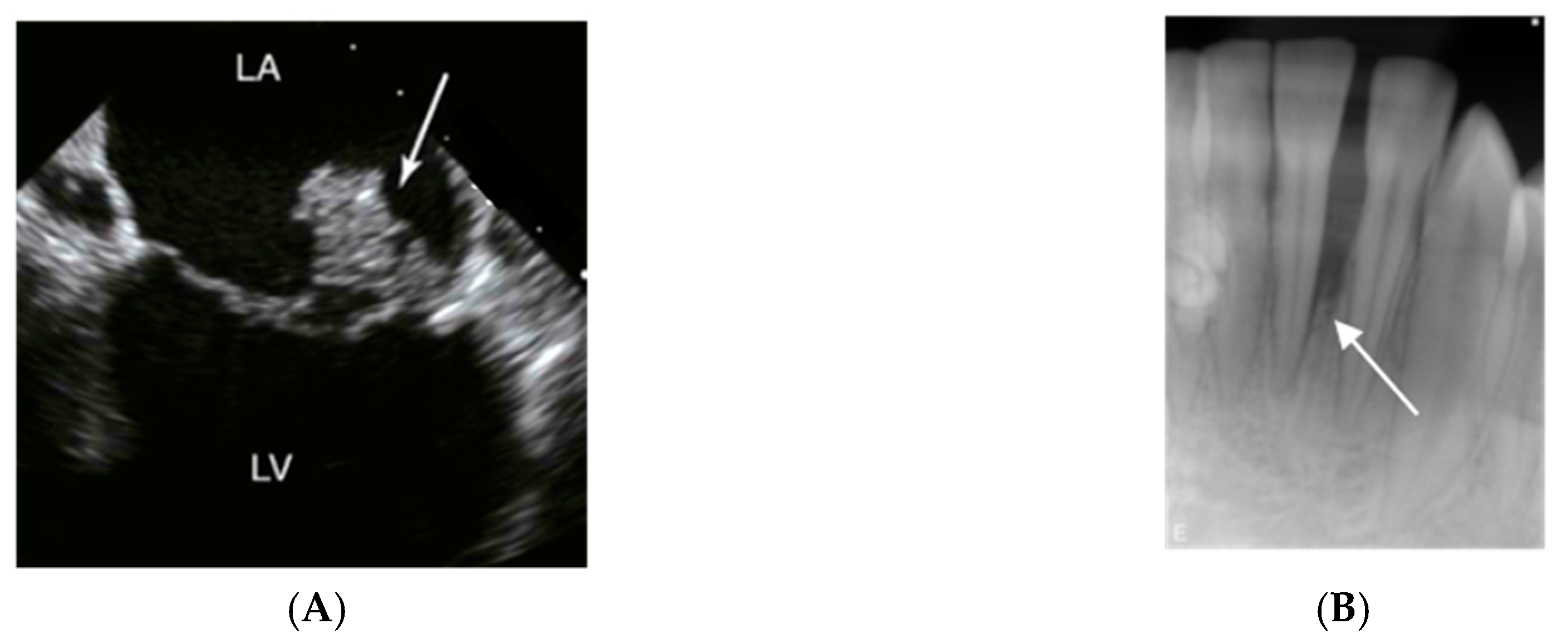 Pathogens 08 00243 g003