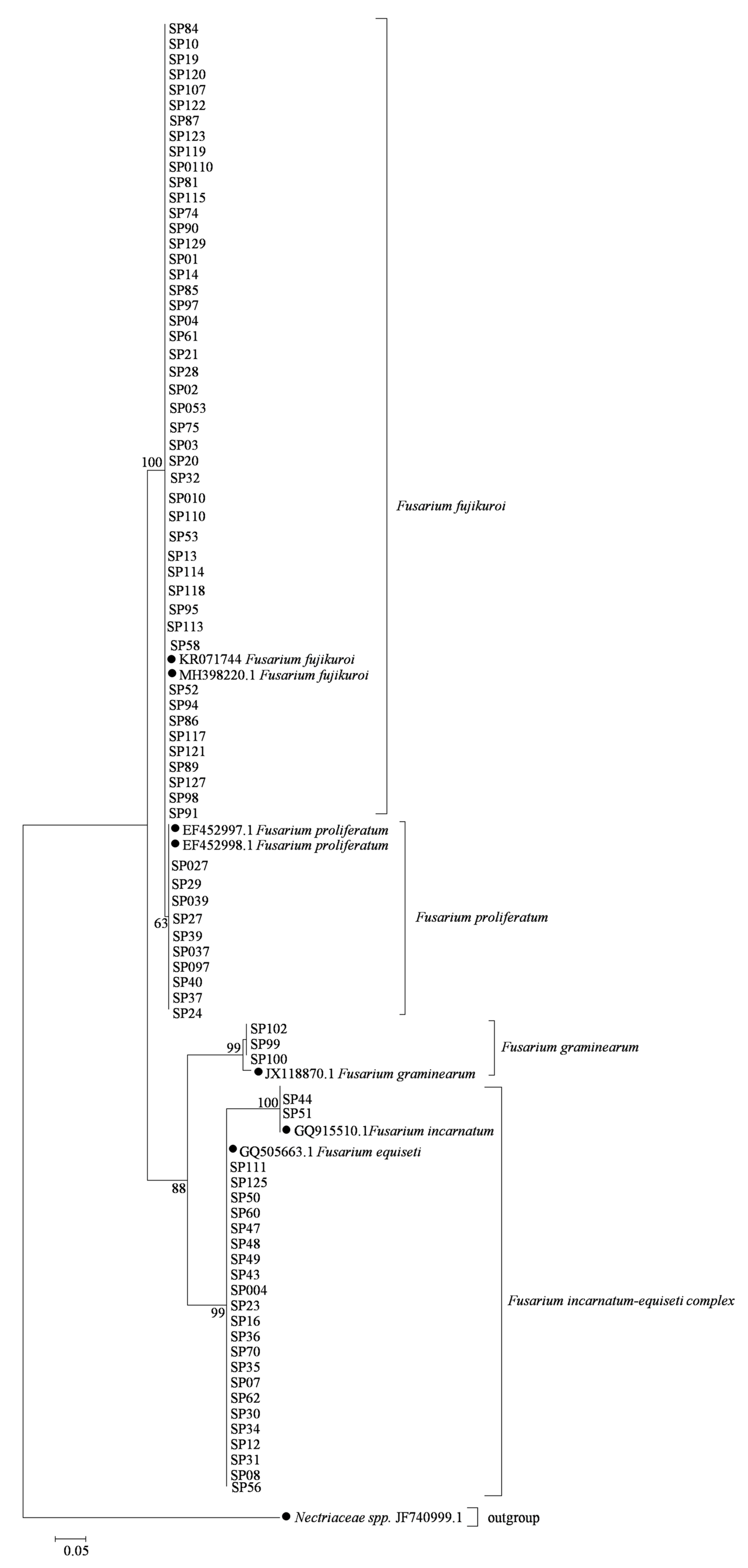 Pathogens 08 00245 g001 Pathogens 08 00245 g001