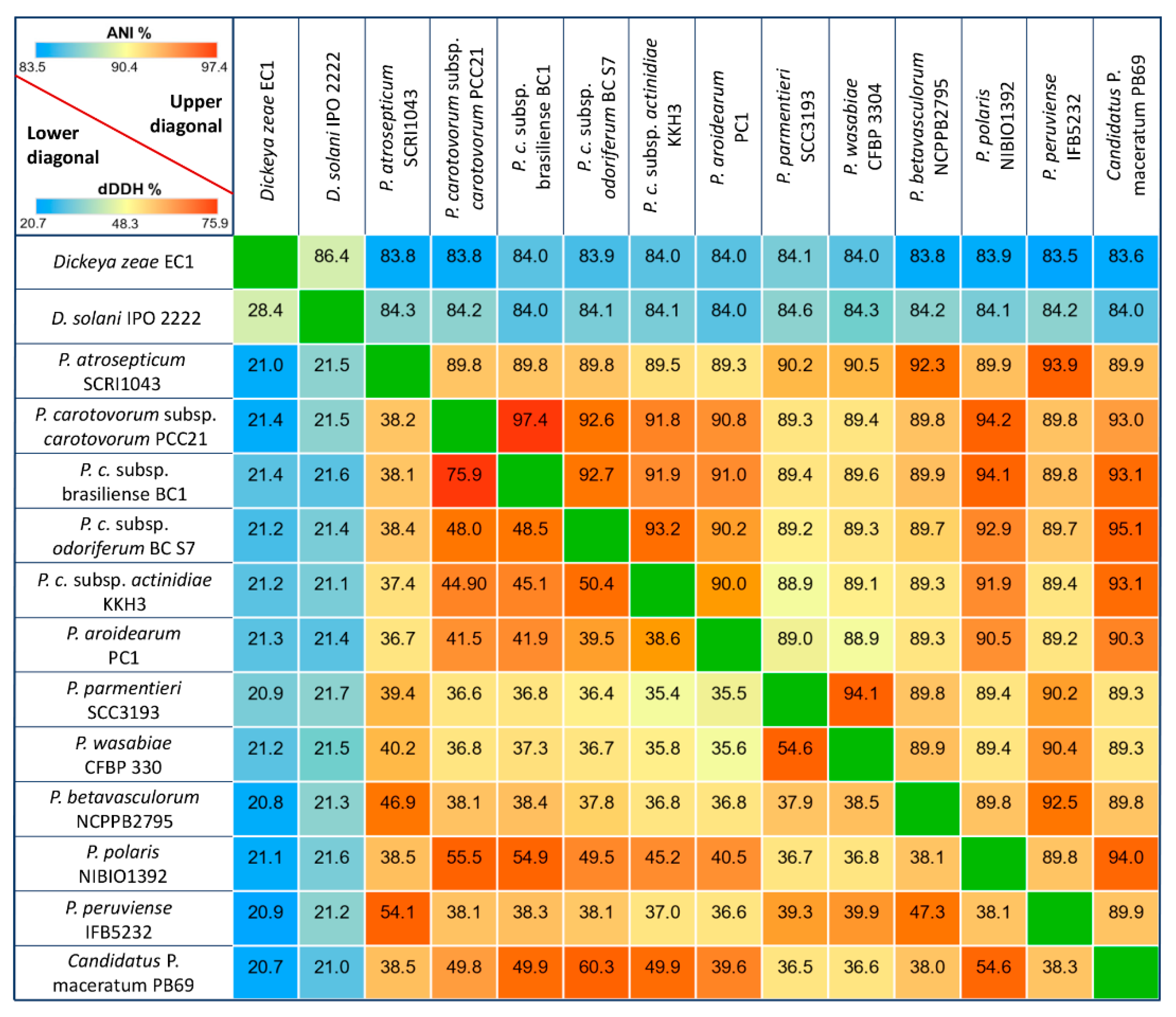 Pathogens 08 00247 g001