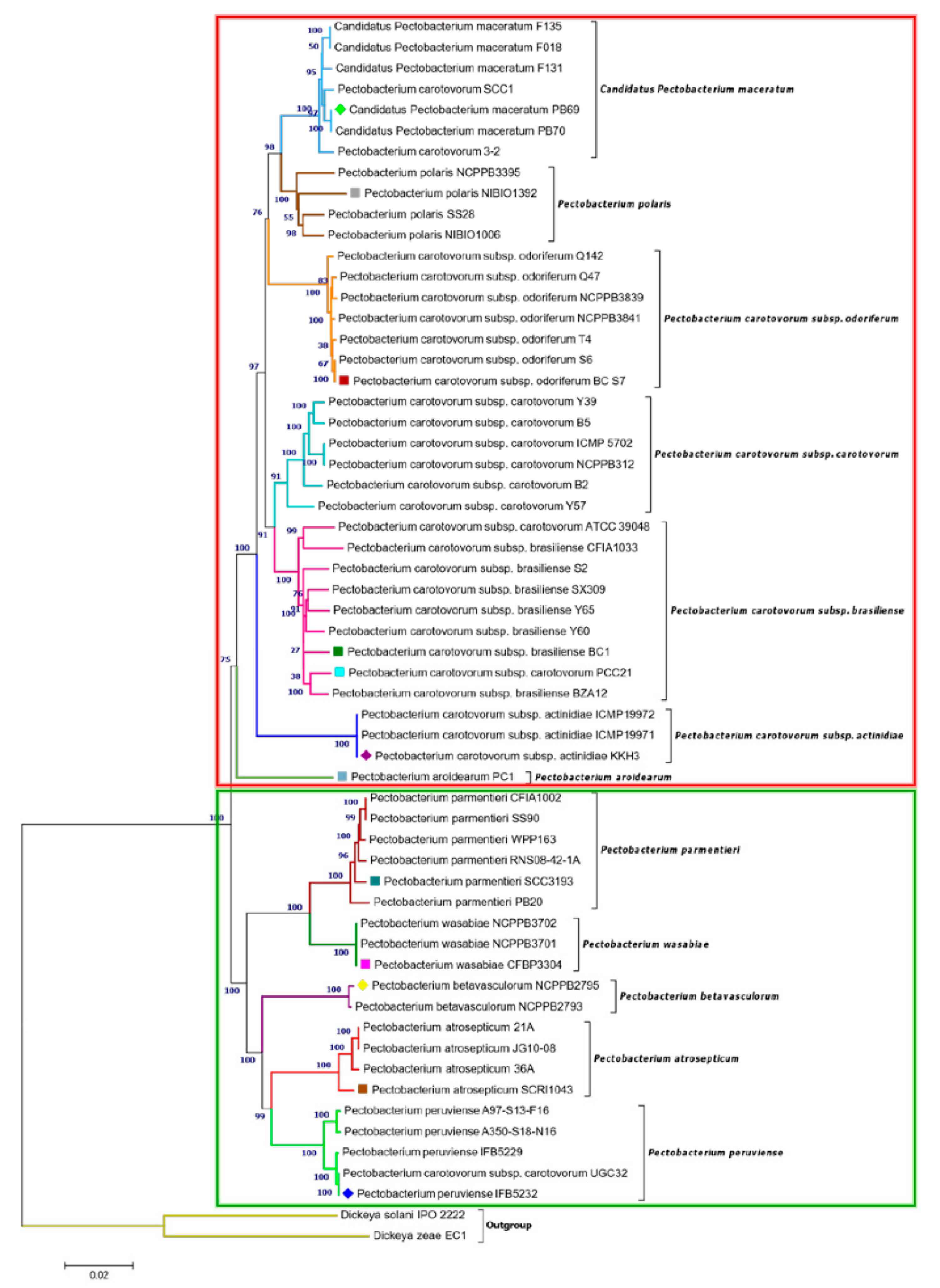 Pathogens 08 00247 g002