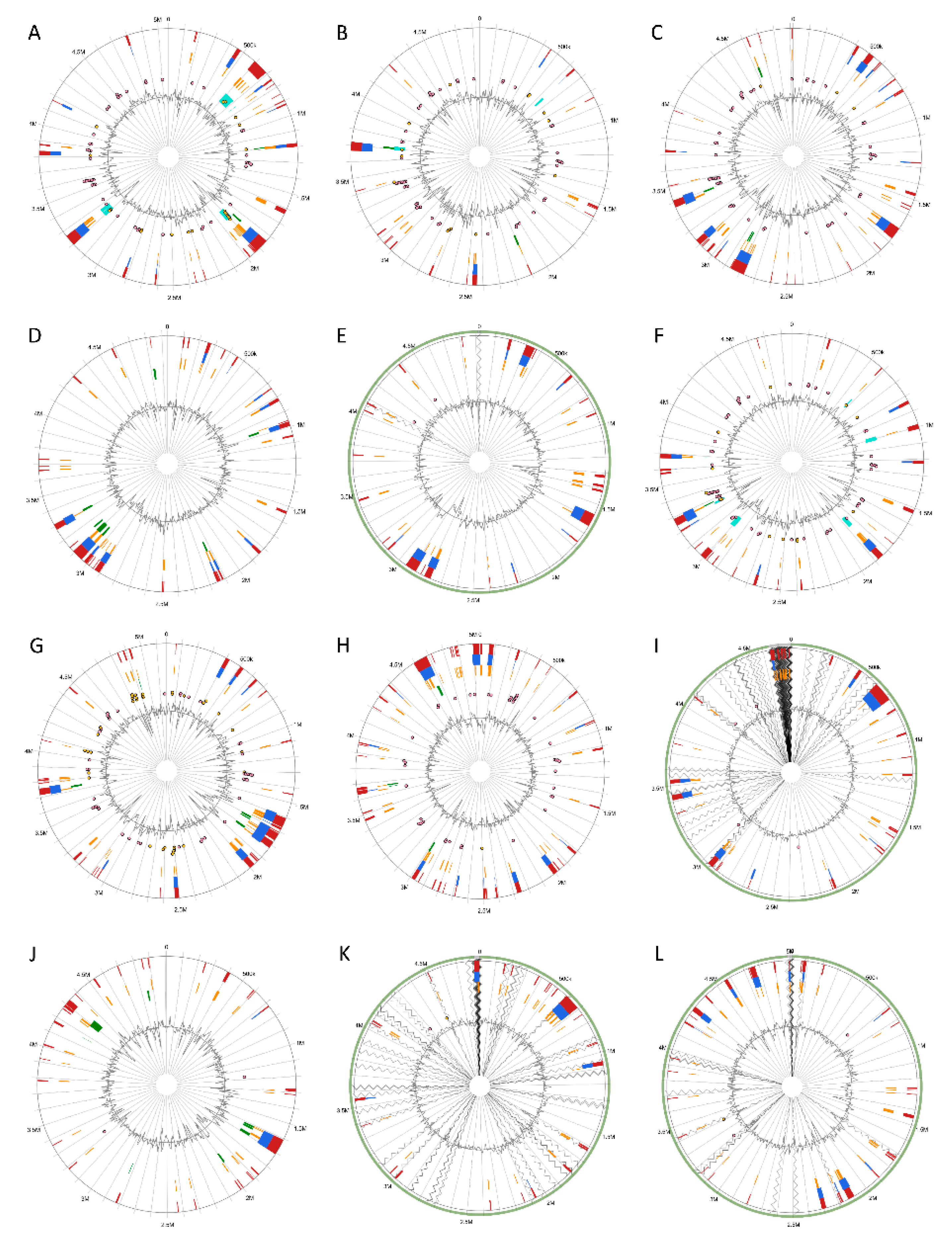 Pathogens 08 00247 g006