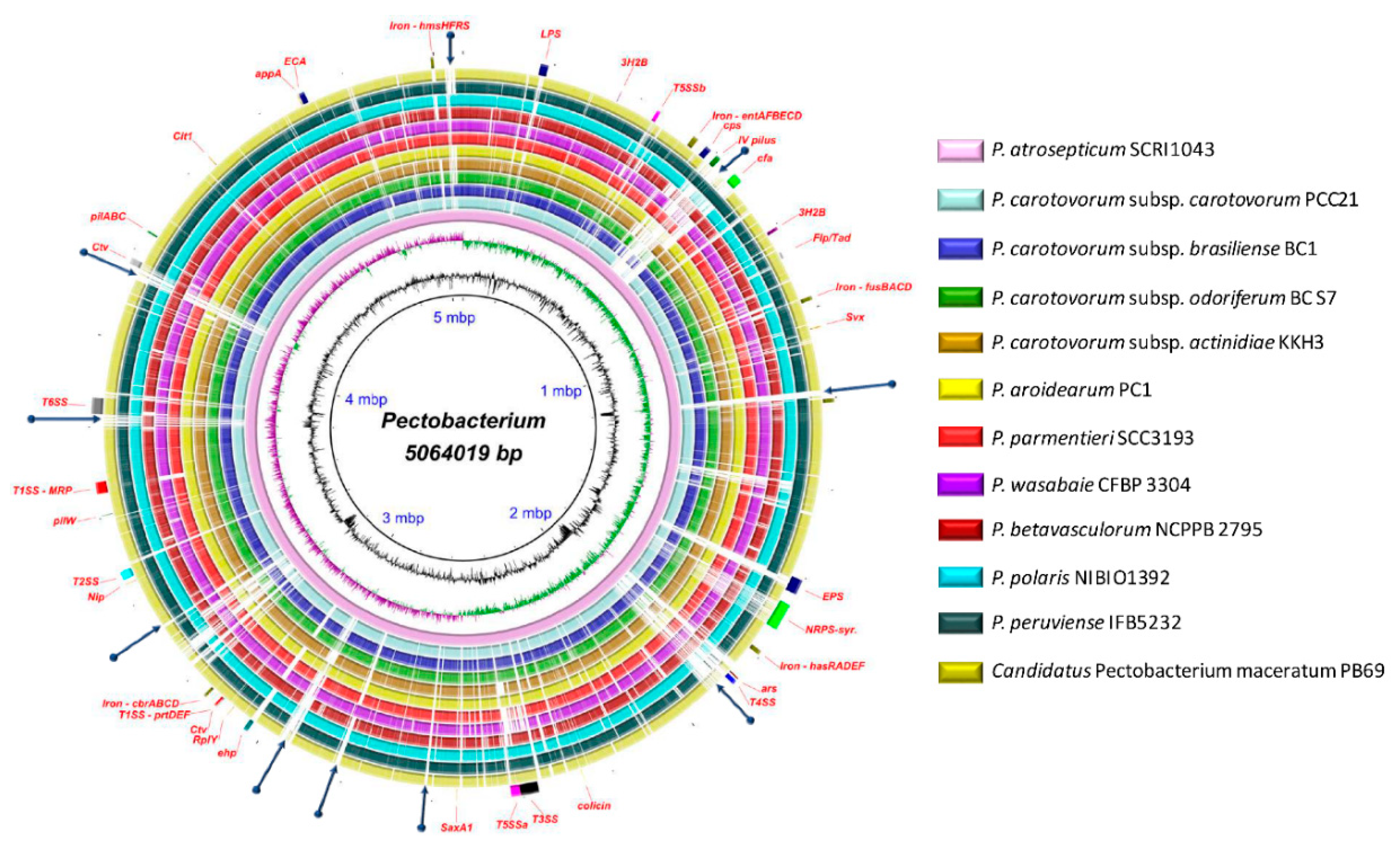 Pathogens 08 00247 g008