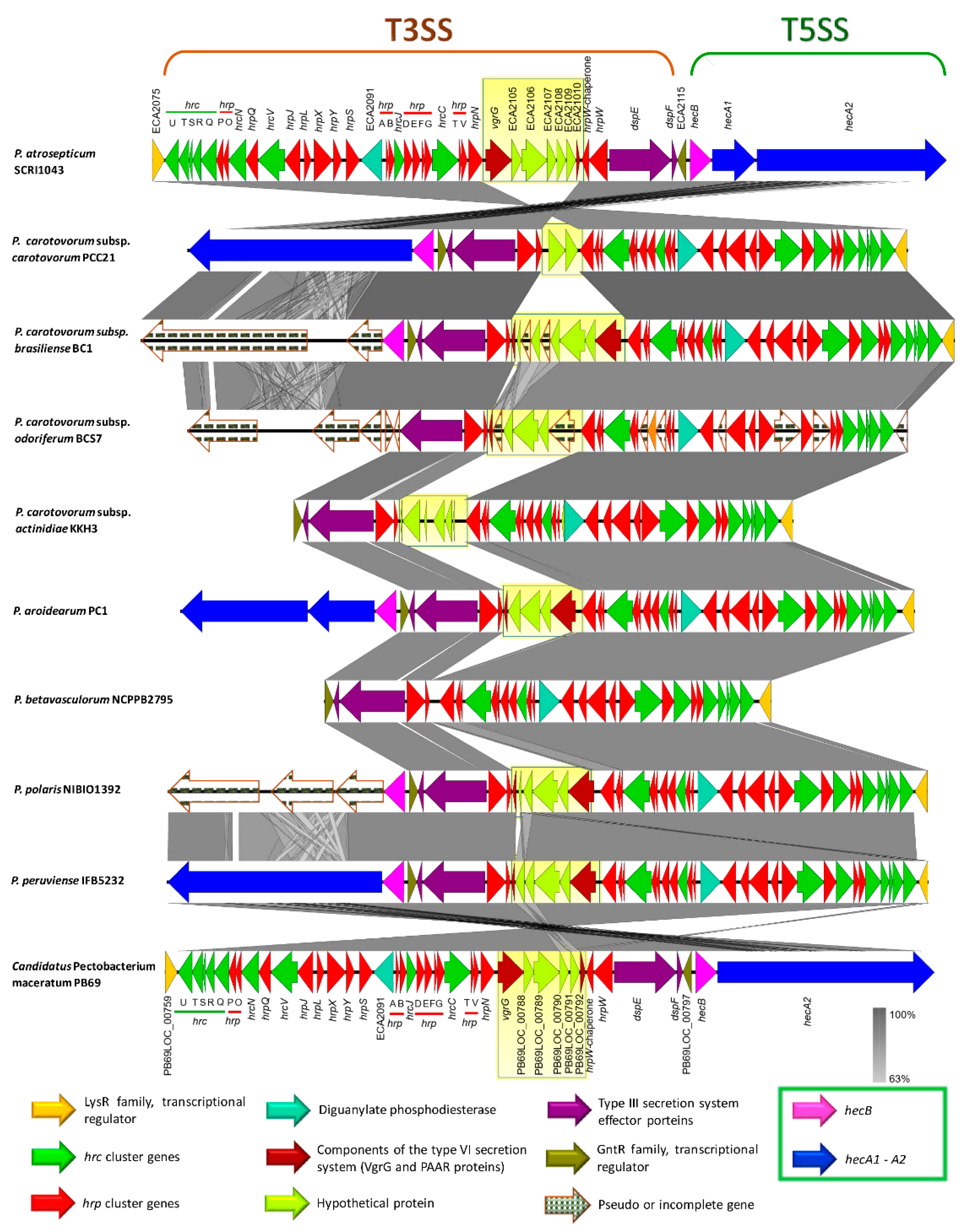Pathogens 08 00247 g009
